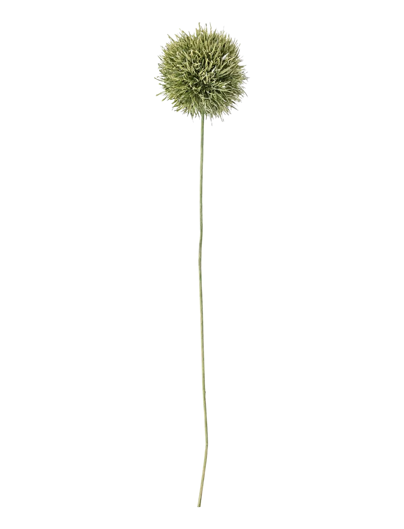 Bloomingville Allium Stem, Dried & Fake Flowers, Grøn, Str: H63CM