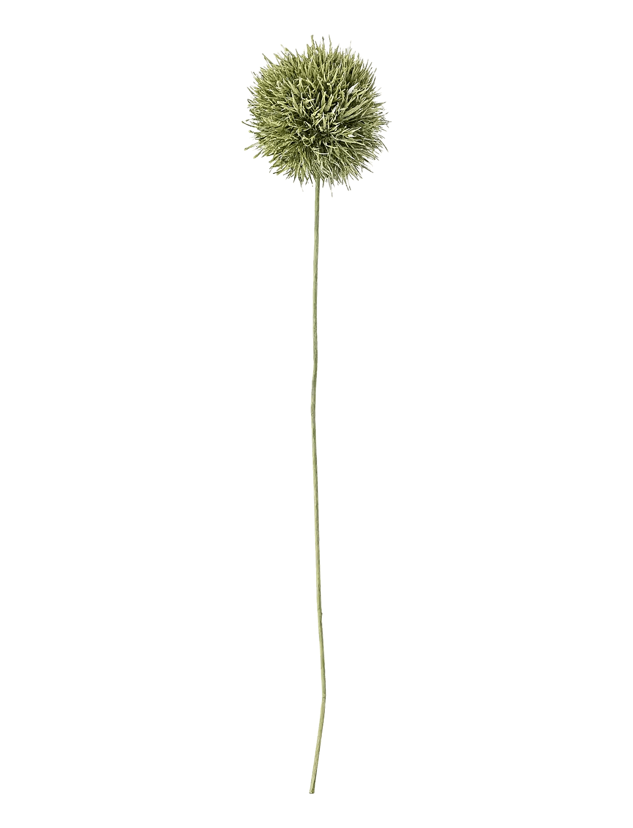 Bloomingville - Allium Stem - Žāvēti