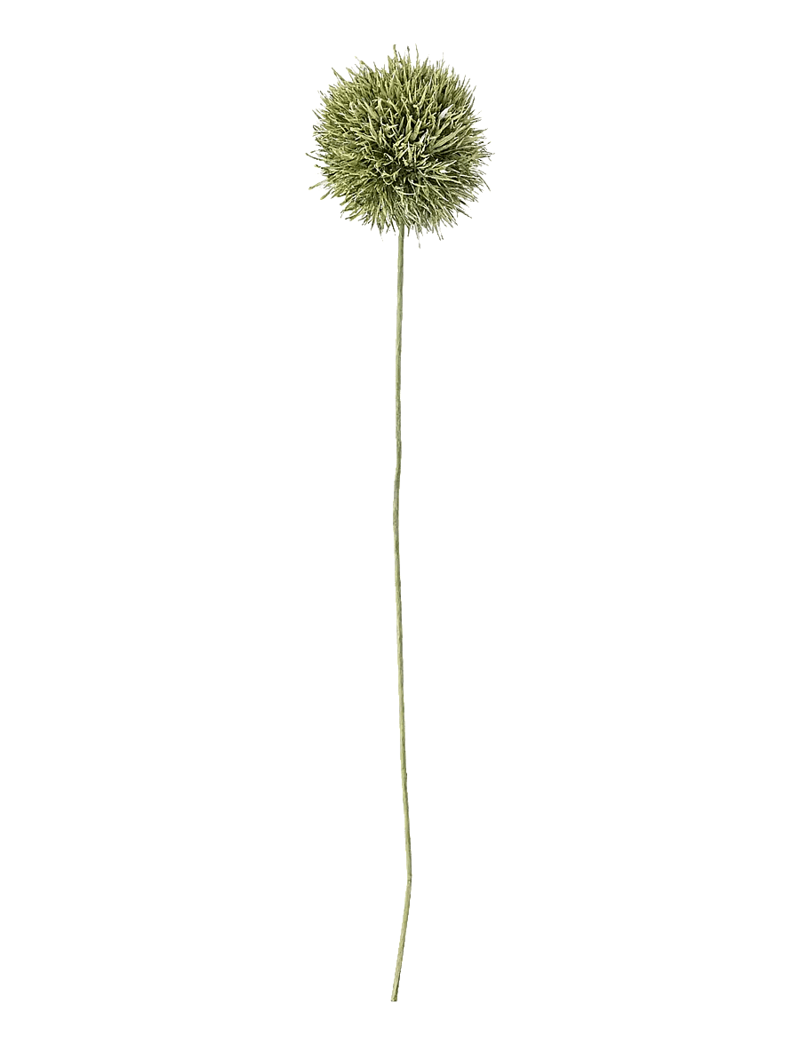 Bloomingville - Allium Stem - sõbrapäeva kingitused - green - 1