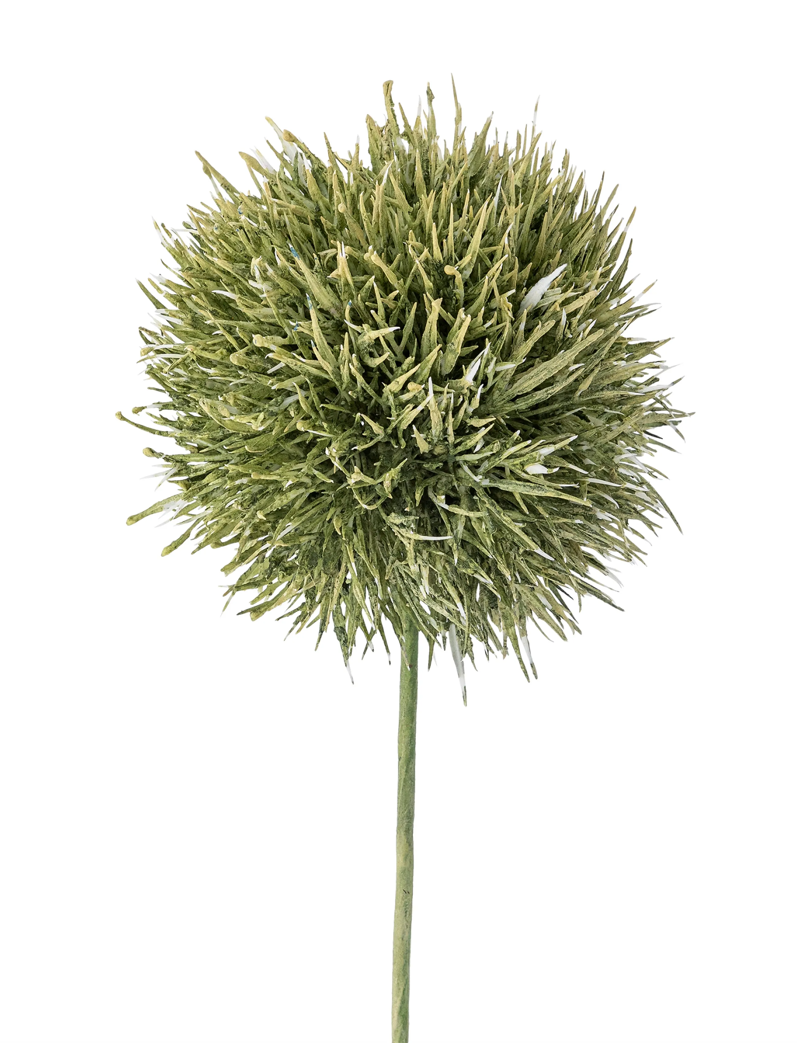 Bloomingville - Allium Stem - green - 3