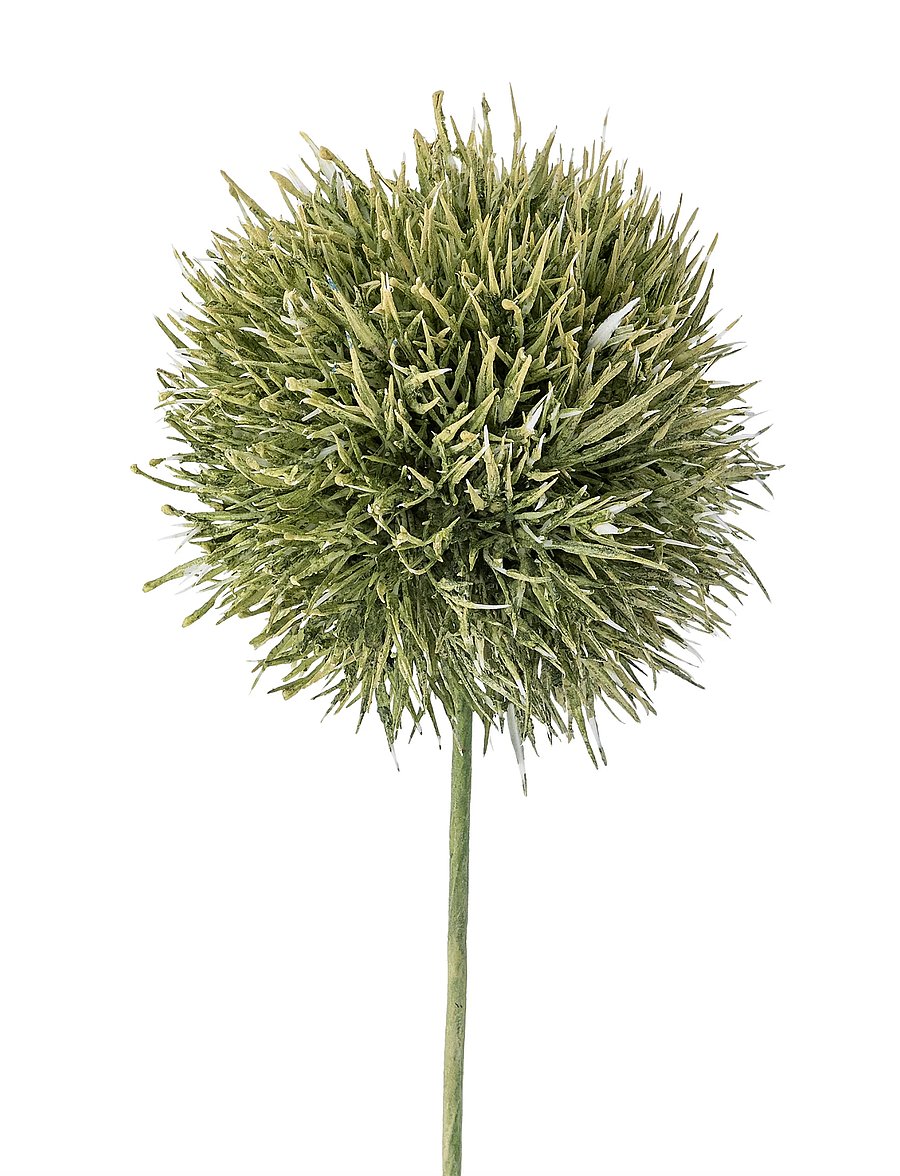 Bloomingville - Allium Stem - sõbrapäeva kingitused - green - 3