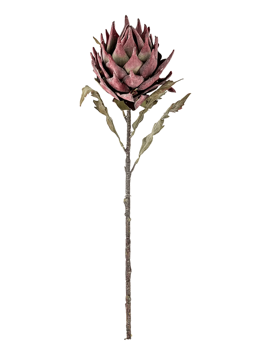 Bloomingville - Protea Stem - sõbrapäeva kingitused - purple - 1