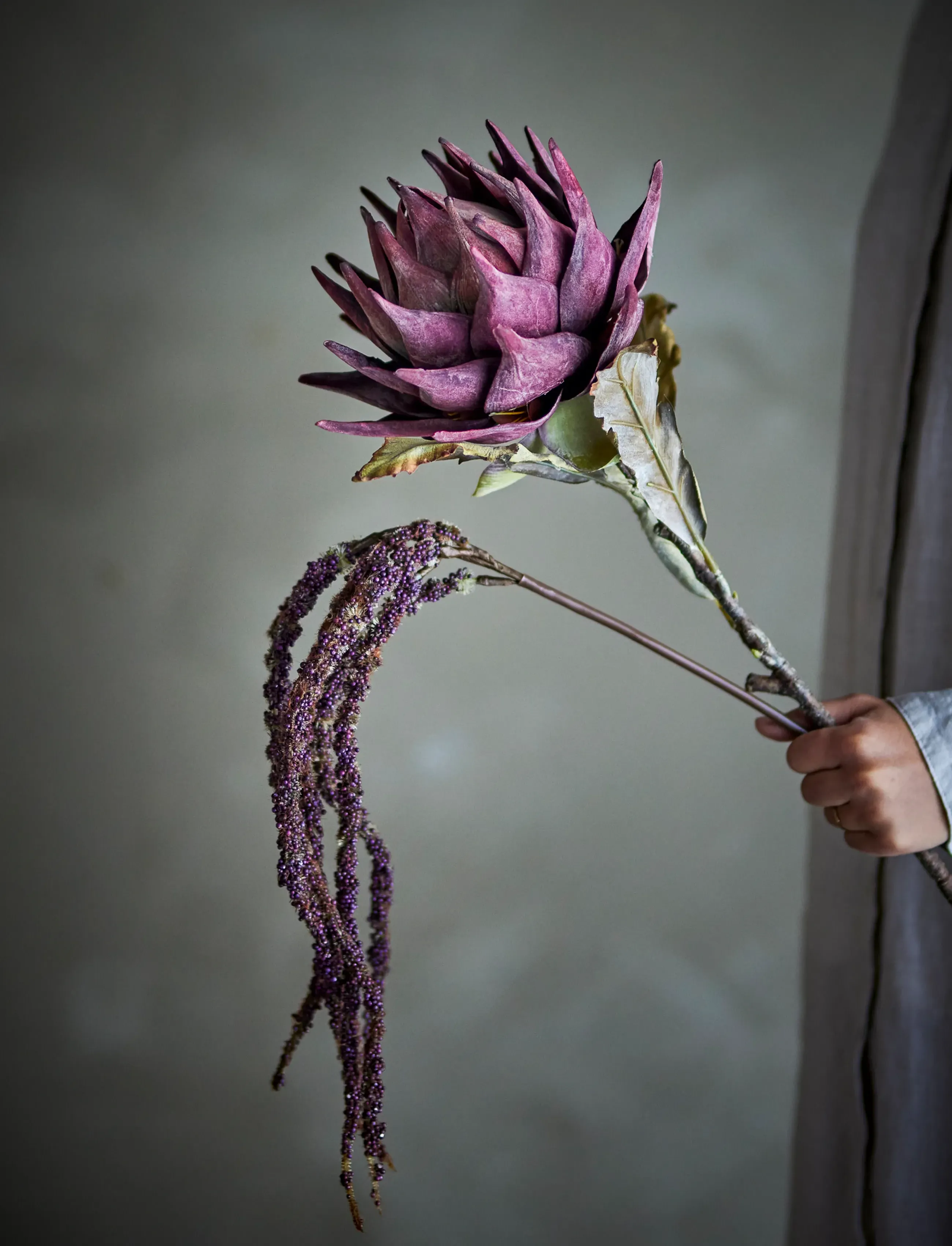 Bloomingville - Protea Stem - valentínusargjafir - purple - 4