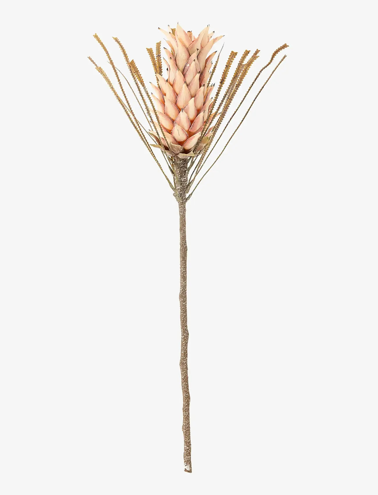 Bloomingville - Palmflower Stem - valentinstaggeschenke - red - 1