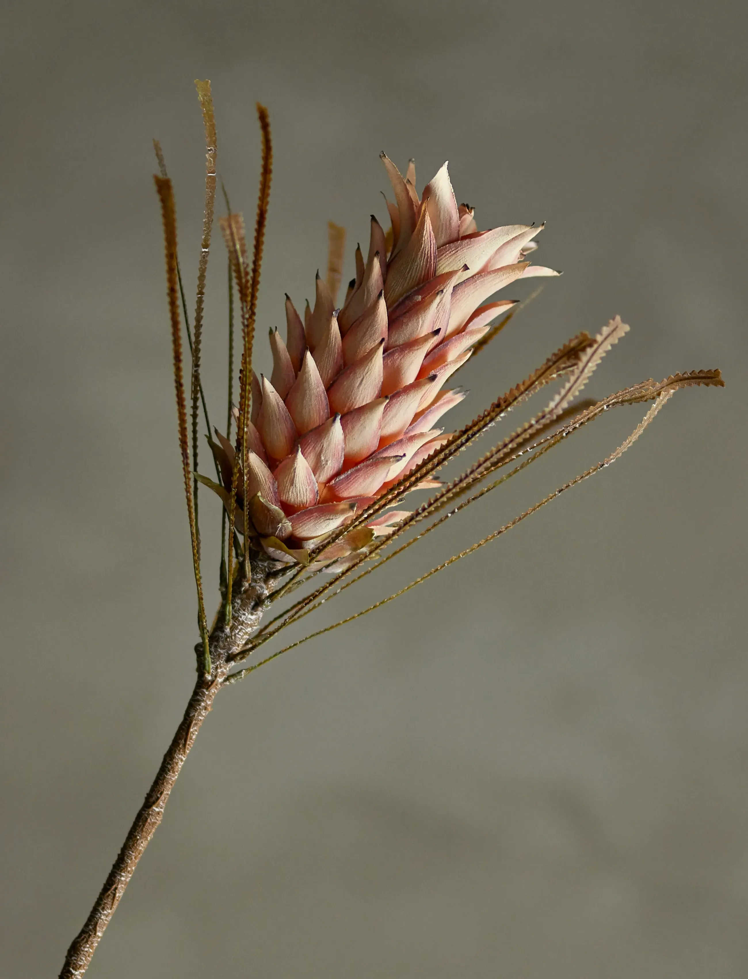 Bloomingville - Palmflower Stem - valentinsgaver - red - 4