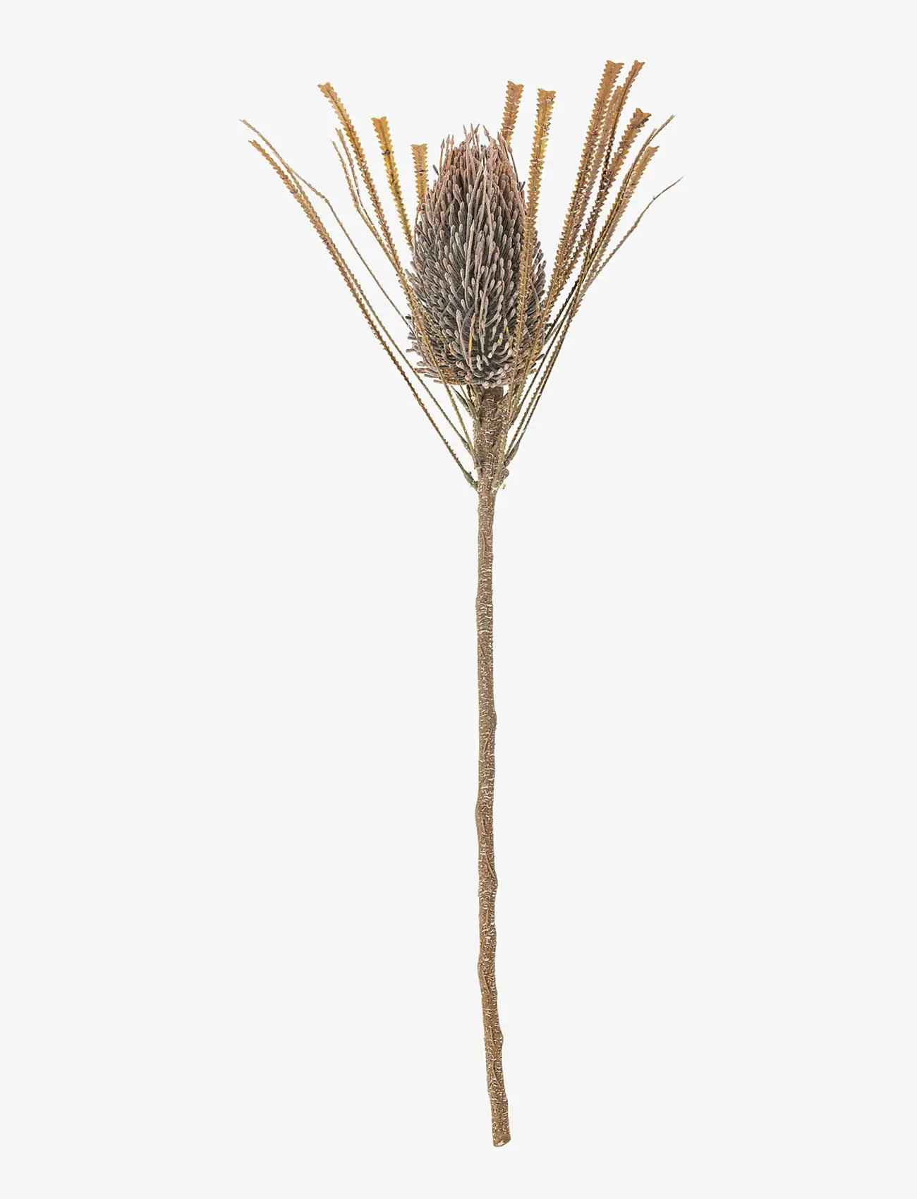 Bloomingville - Palmflower Stem - valentines day gifts - brown - 1