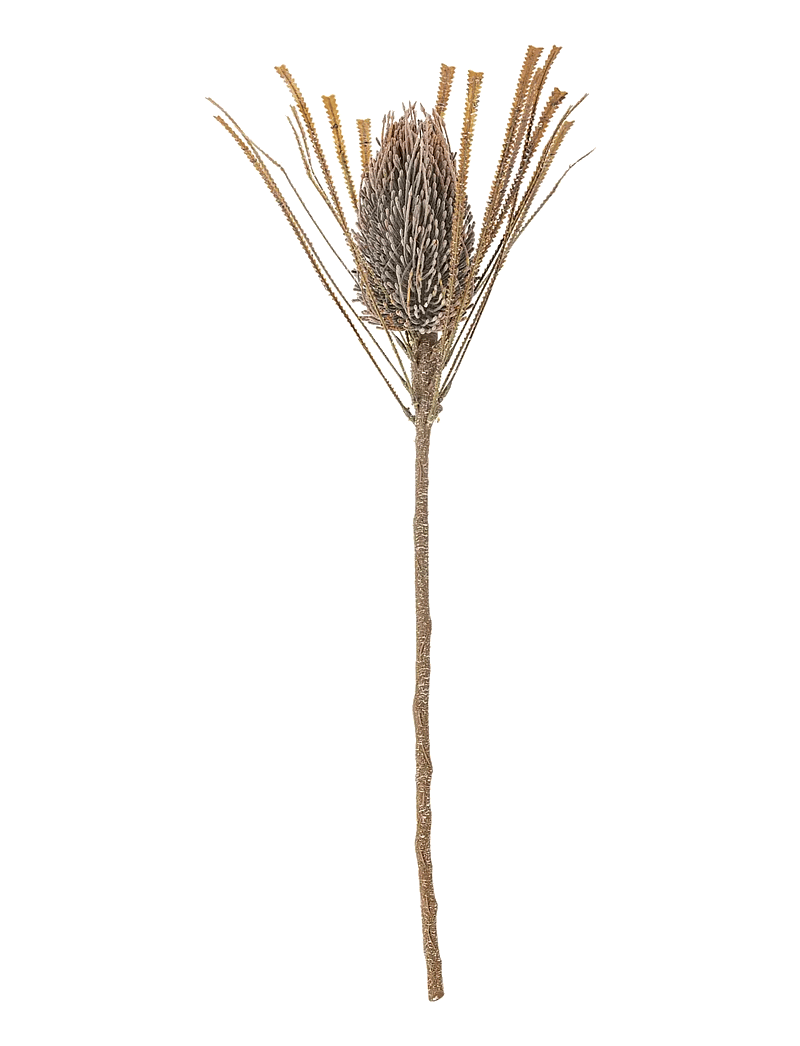 Bloomingville - Palmflower Stem - valentinstaggeschenke - brown - 1