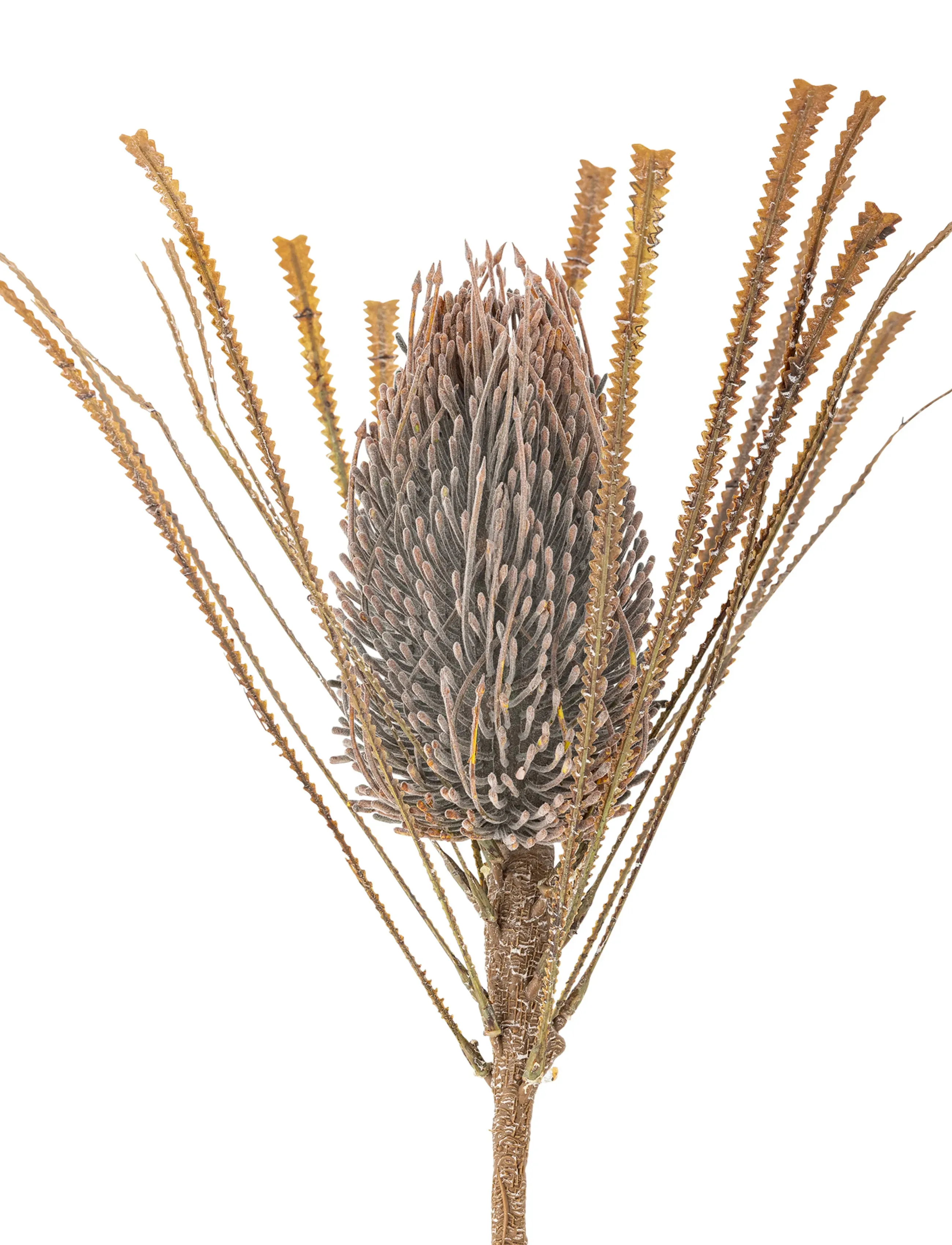 Bloomingville - Palmflower Stem - sõbrapäeva kingitused - brown - 5
