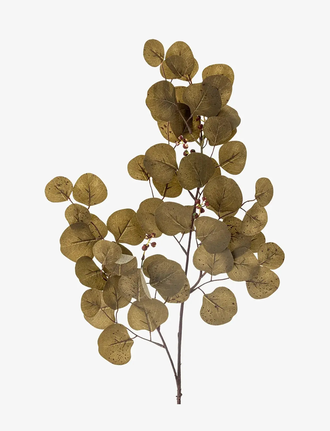 Bloomingville - Eucalyptus Stem - valentinstaggeschenke - brown - 1