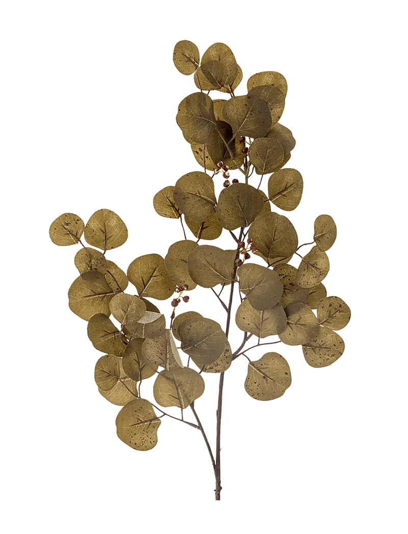 Bloomingville - Eucalyptus Stem - valentinstaggeschenke - brown - 1