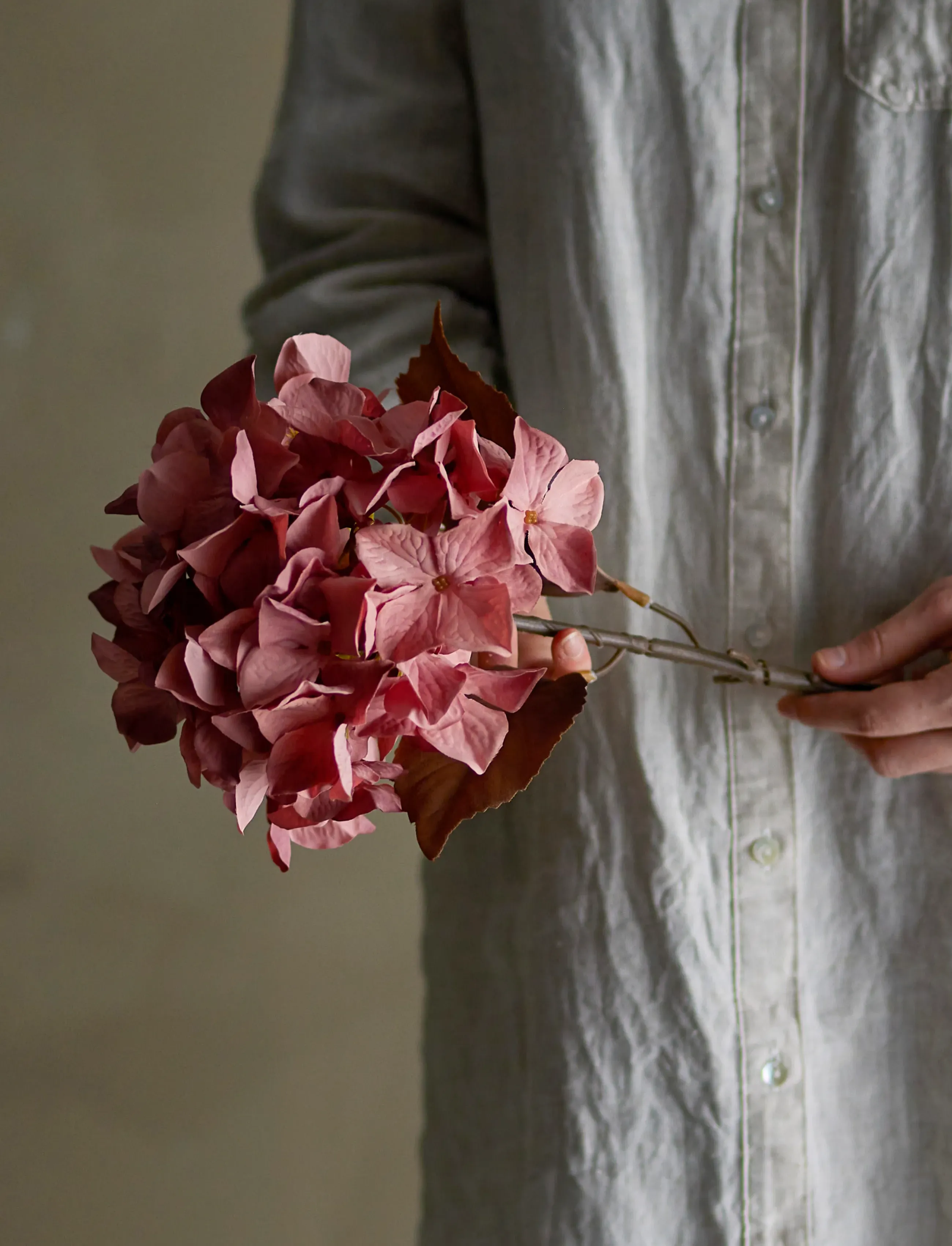 Bloomingville Hydrangea Stem, H65 cm, Decoration, Rot - Dried & Fake Flowers, Homeware