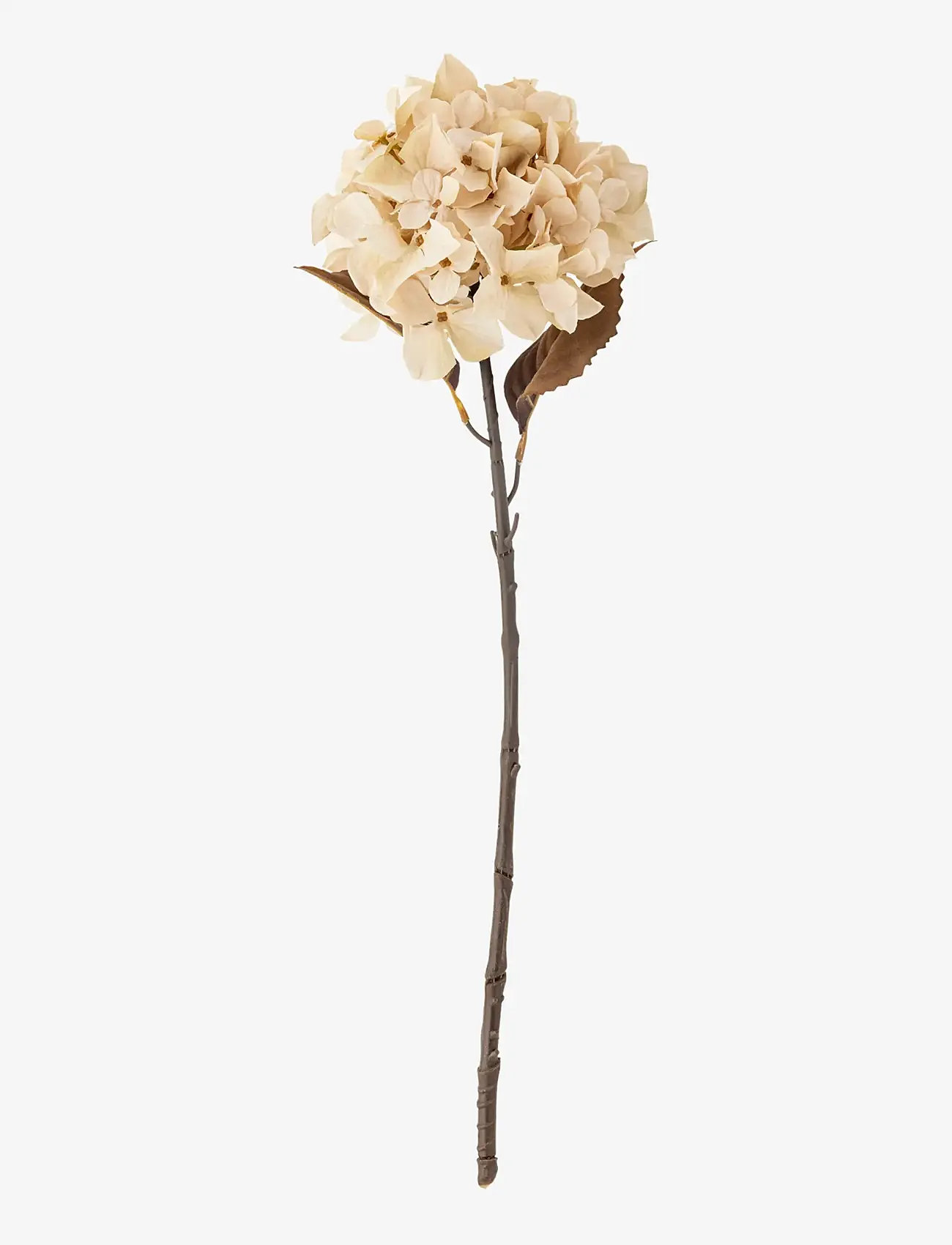 Bloomingville - Hydrangea Stem - valentinsgaver - cream - 1