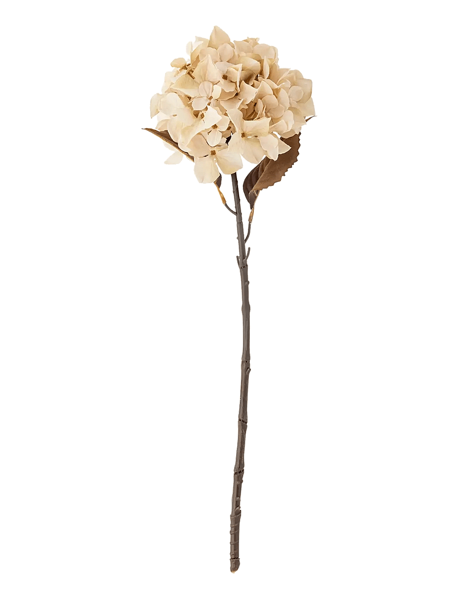 Bloomingville - Hydrangea Stem - sõbrapäeva kingitused - cream - 1