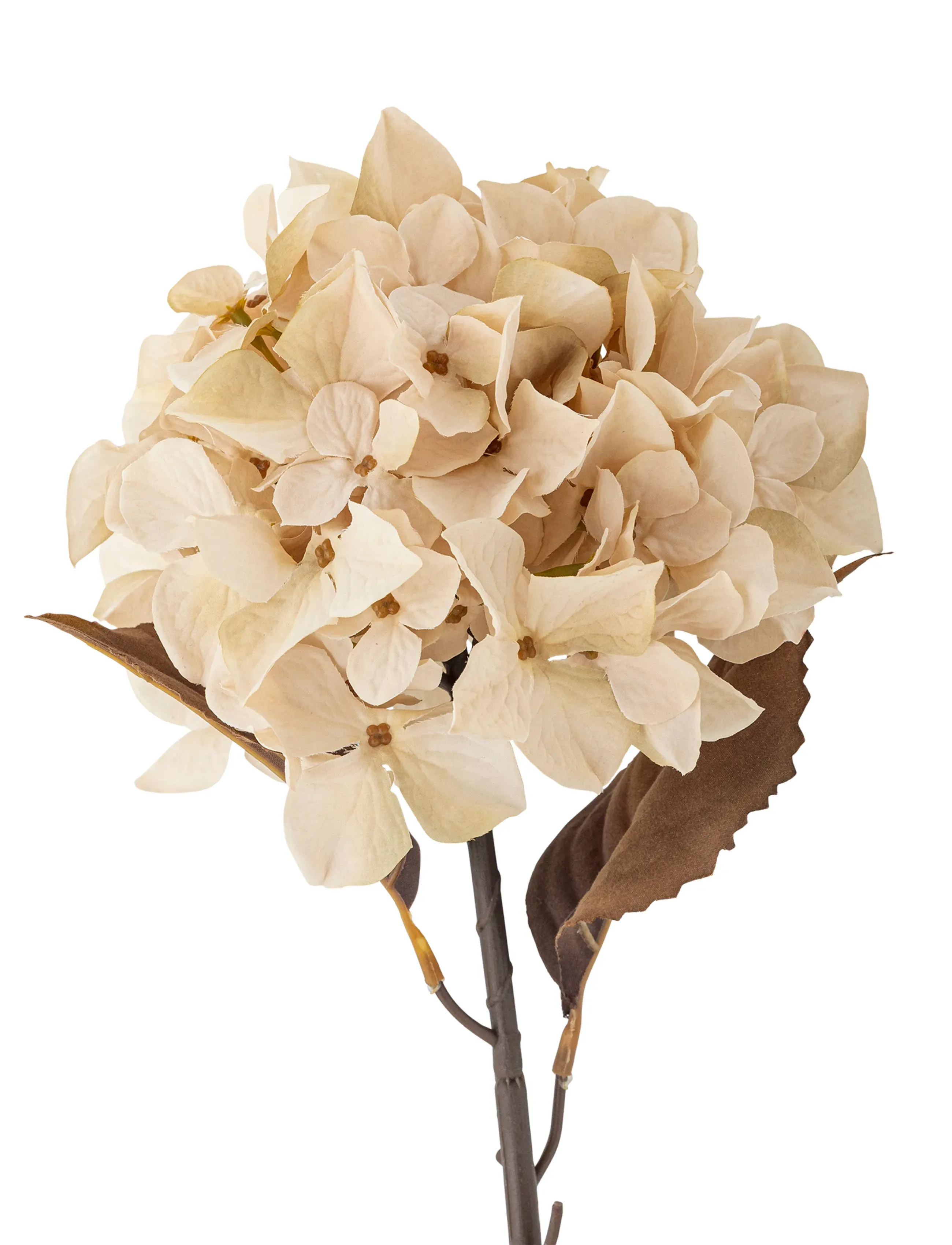 Bloomingville - Hydrangea Stem - sõbrapäeva kingitused - cream - 5
