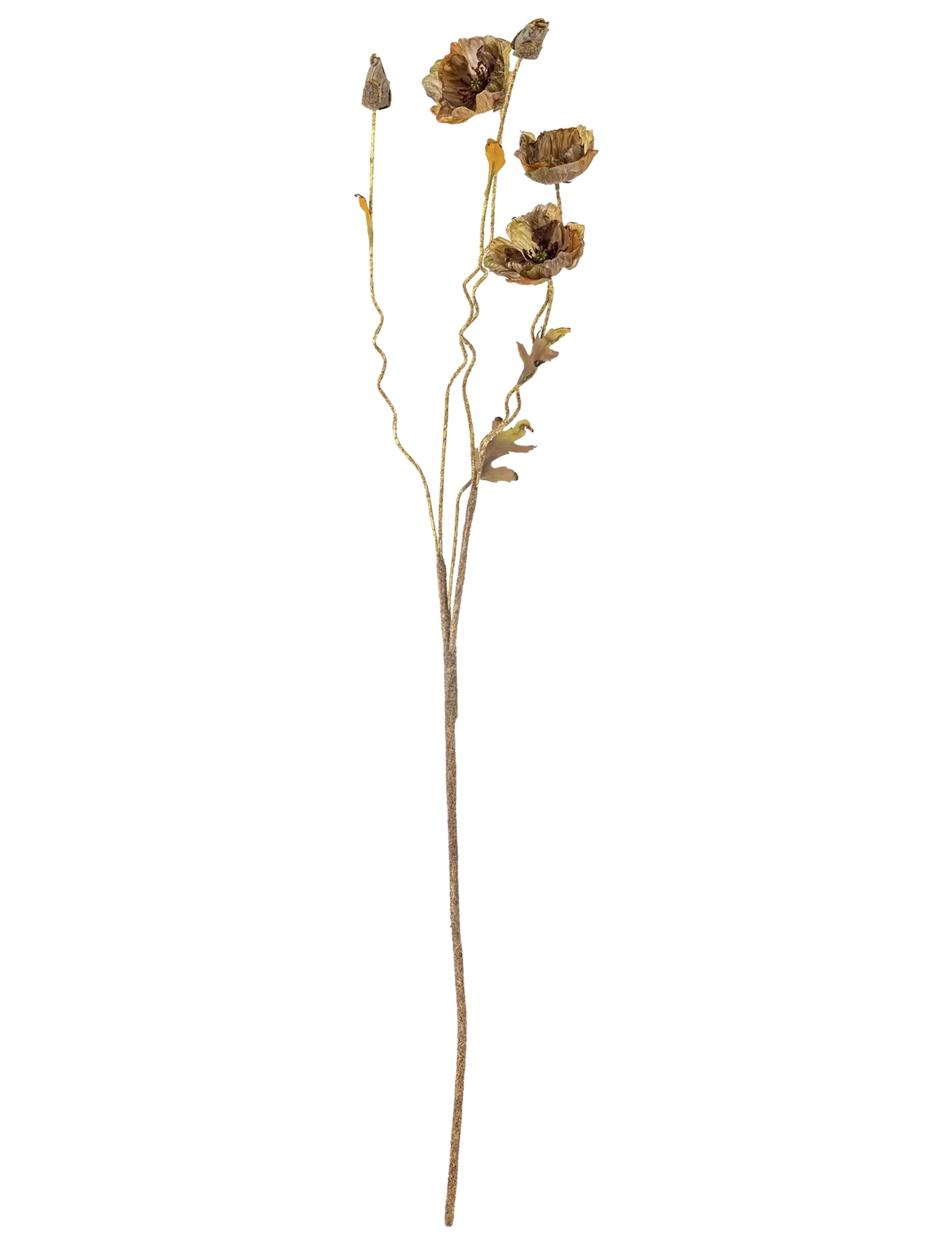 Bloomingville Poppy Stem, Dried & Fake Flowers, Brun, Str: H104CM