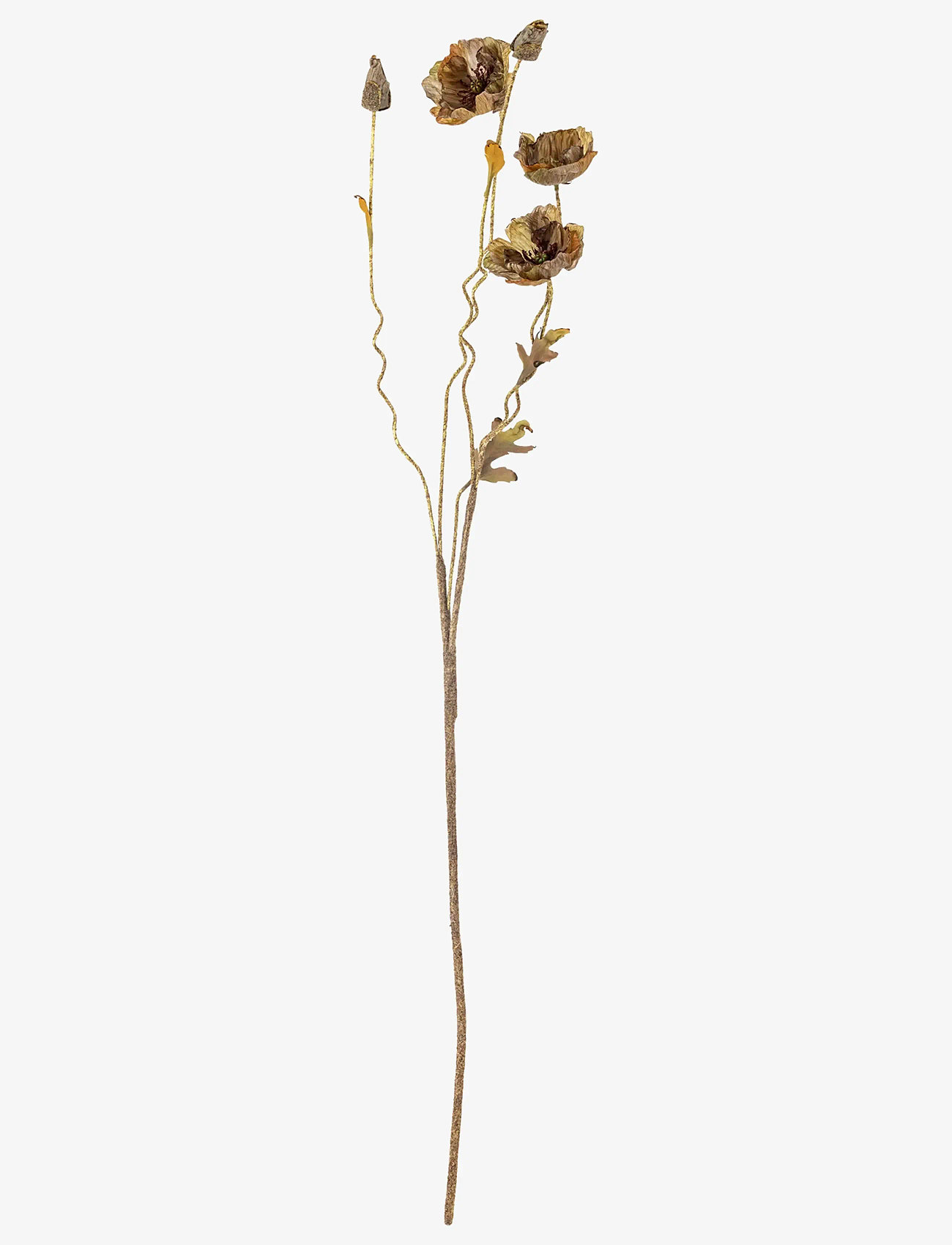 Bloomingville - Poppy Stem - valentines day gifts - brown - 1