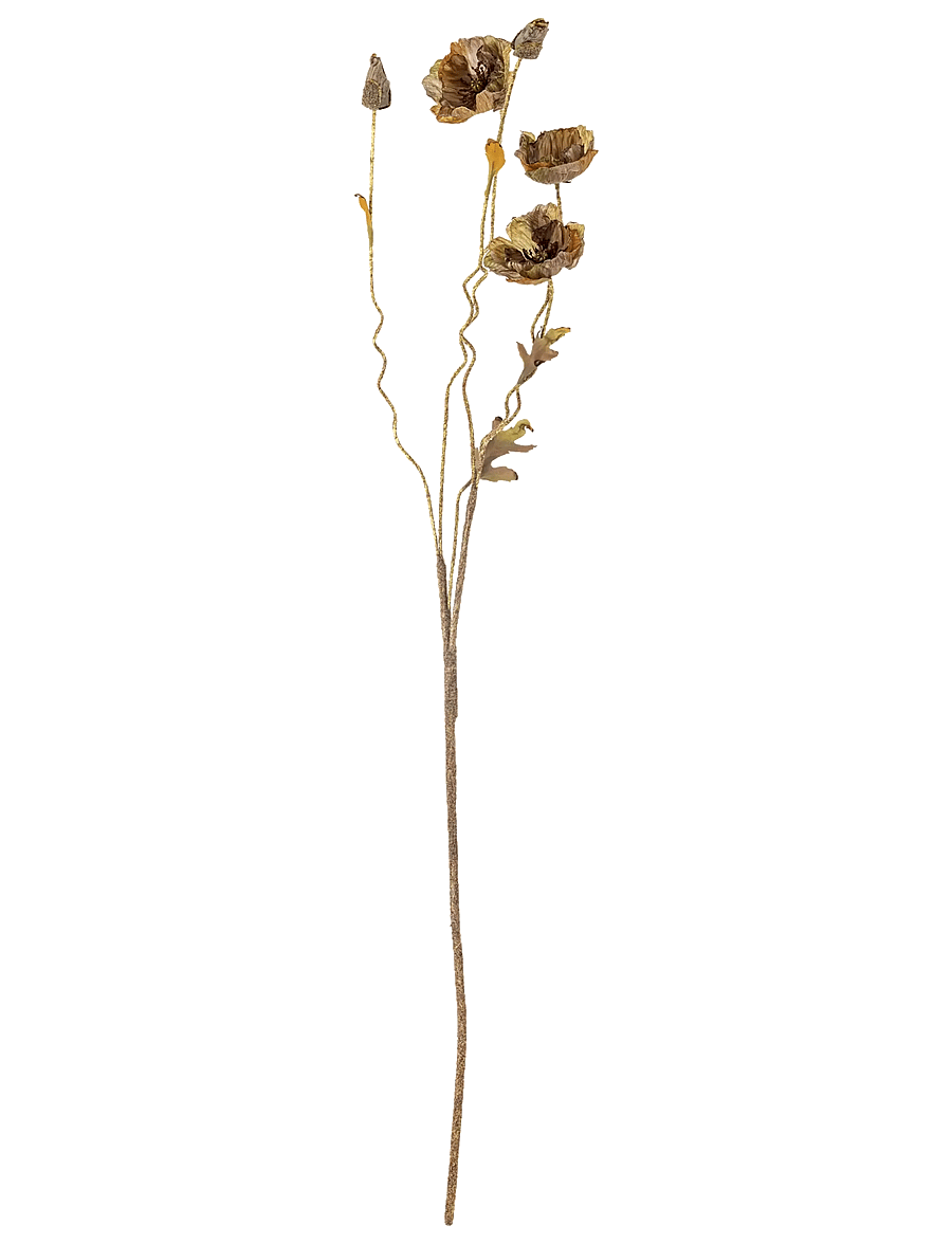 Bloomingville - Poppy Stem - valentinstaggeschenke - brown - 1