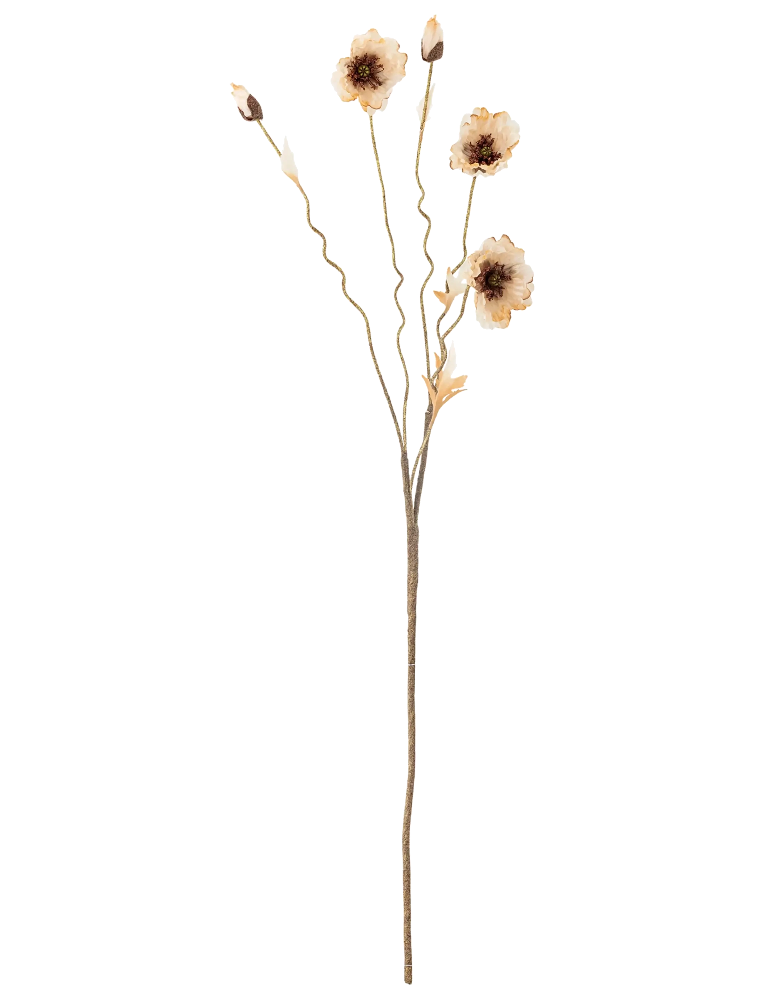 Bloomingville Poppy Stem, Dried & Fake Flowers, Creme, Str: H104CM