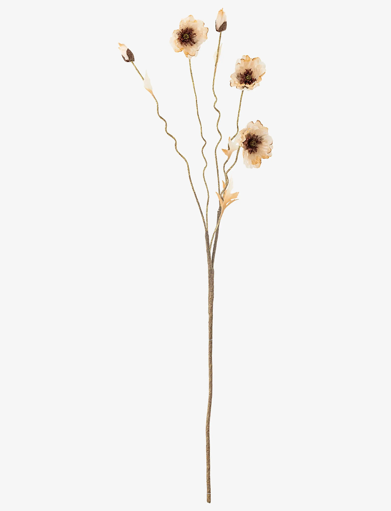 Bloomingville - Poppy Stem - cream - 1