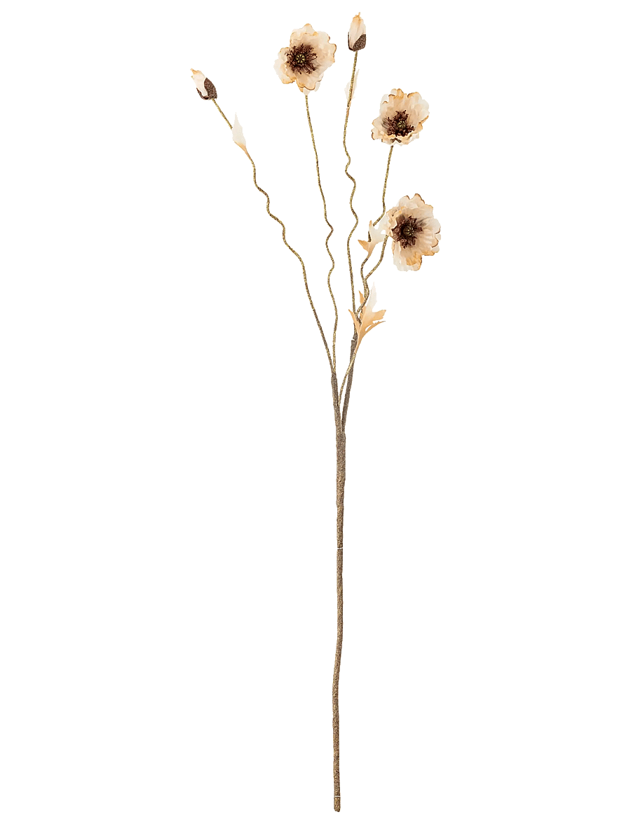 Bloomingville - Poppy Stem - valentinstaggeschenke - cream - 1