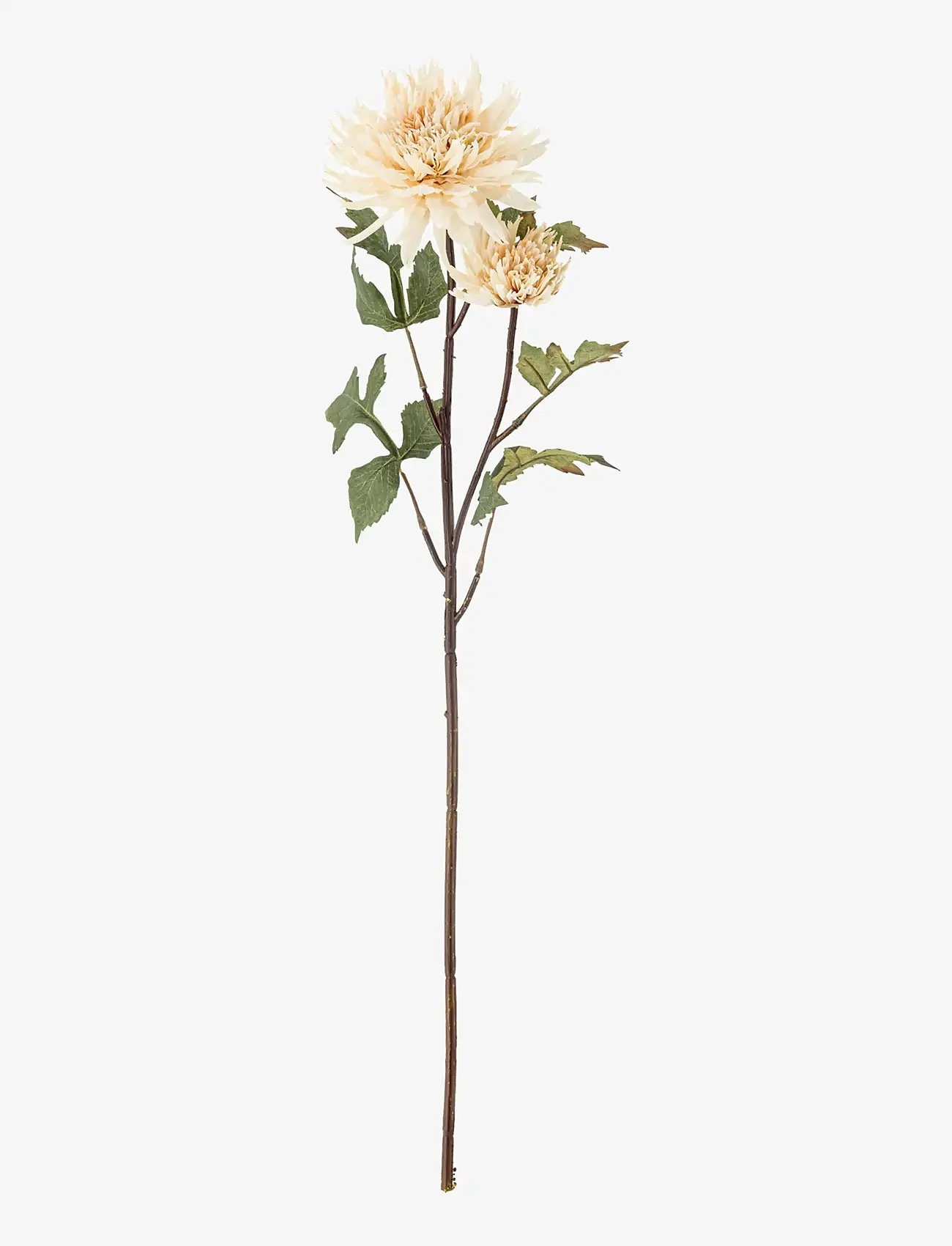 Bloomingville - Chrysantemum Stem - valentīndienas dāvanas - cream - 1