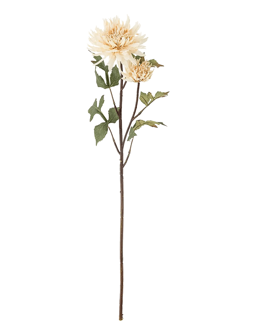 Bloomingville - Chrysantemum Stem - valentinstaggeschenke - cream - 1