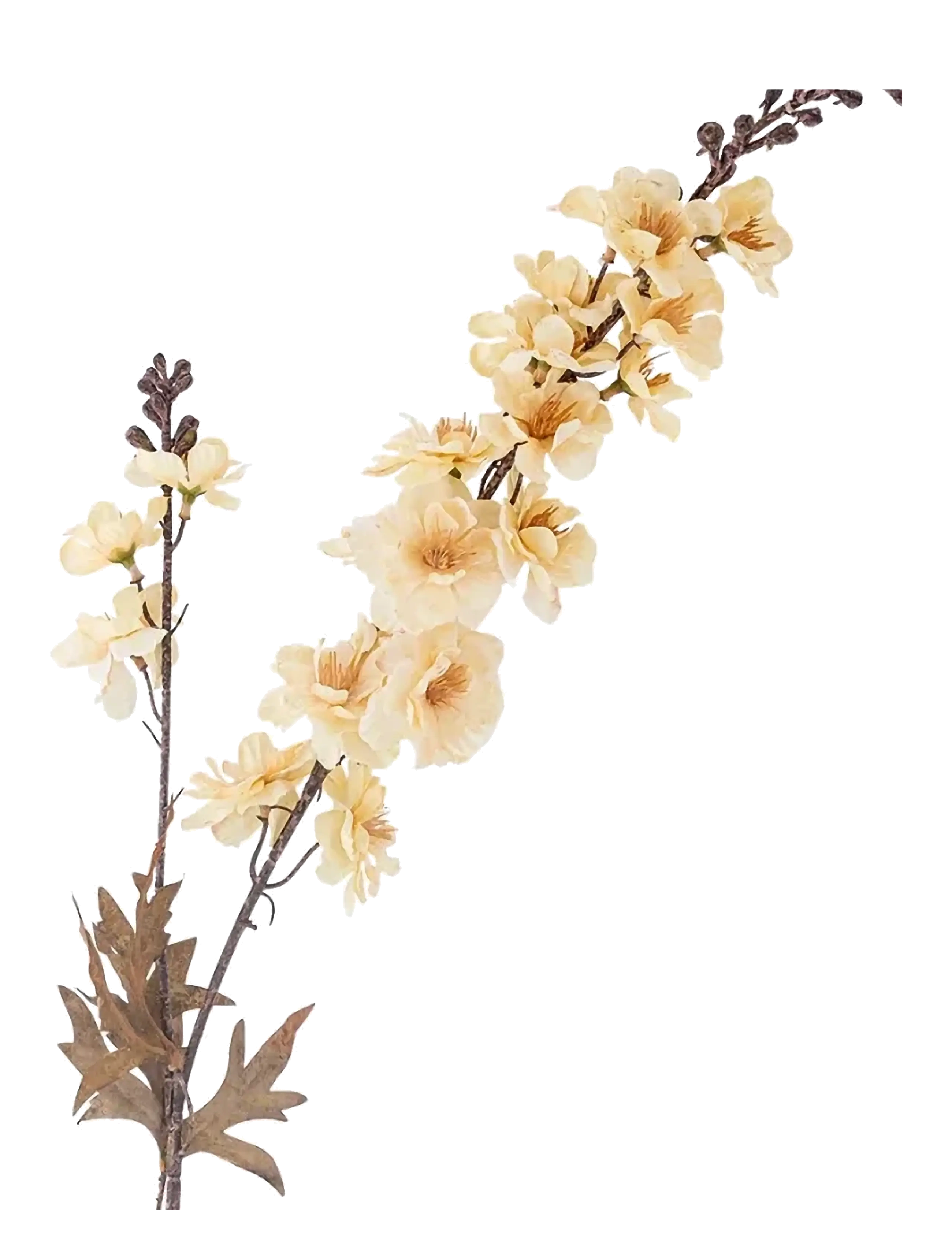 BLOOMINGVILLE Larkspur Stem Cream - H86CM - Unisex