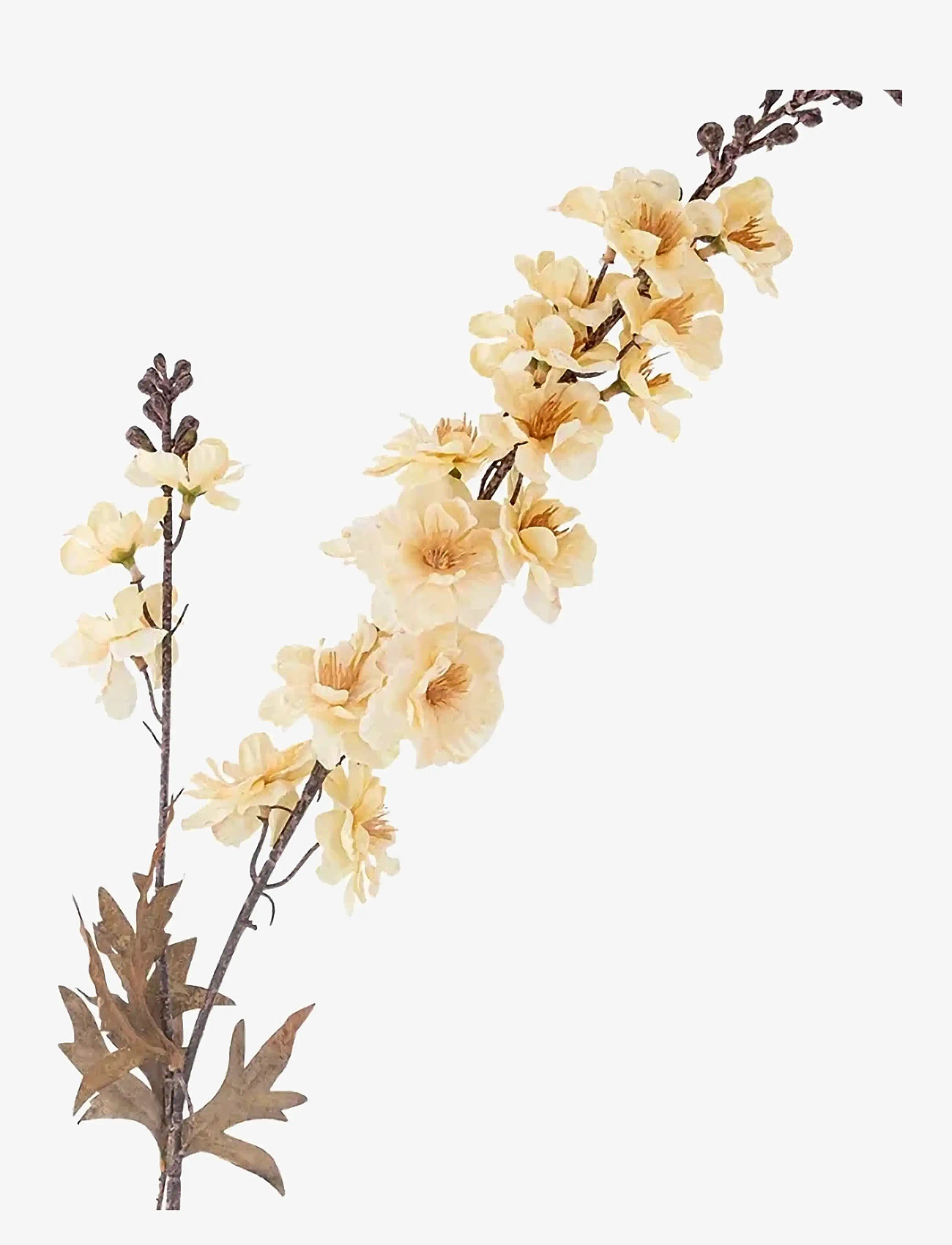 Bloomingville - Larkspur Stem - valentines day gifts - cream - 1