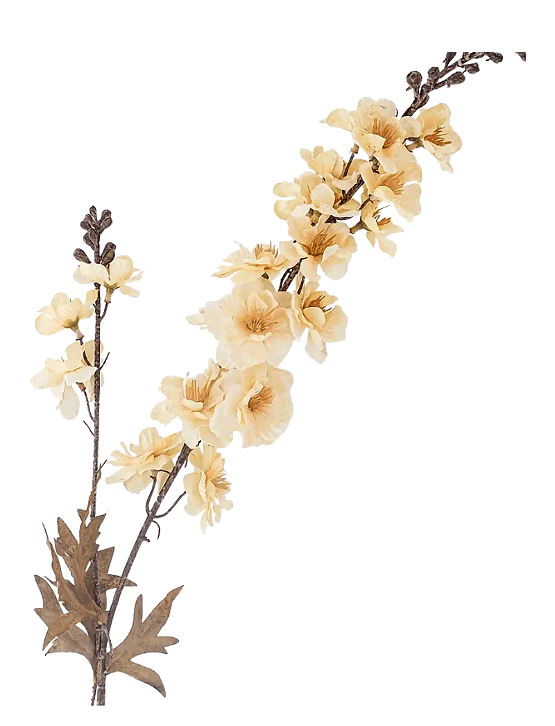 Bloomingville - Larkspur Stem - valentinstaggeschenke - cream - 1