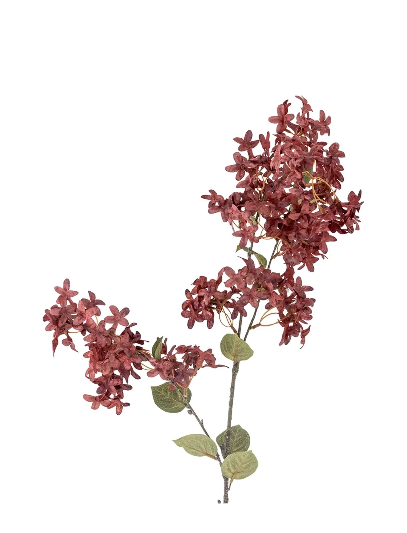Bloomingville Myrtle Stem, Dried & Fake Flowers, Lila, Str: H100CM
