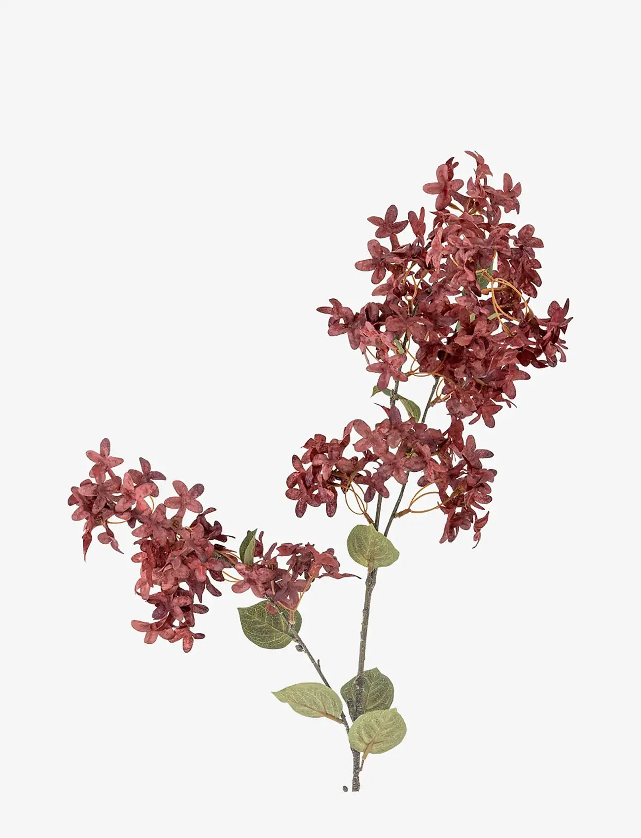 Bloomingville - Myrtle Stem - valentinstaggeschenke - purple - 1