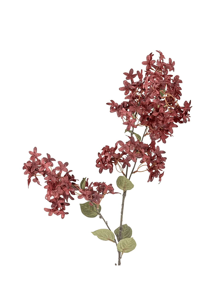 Bloomingville - Myrtle Stem - valentinstaggeschenke - purple - 1