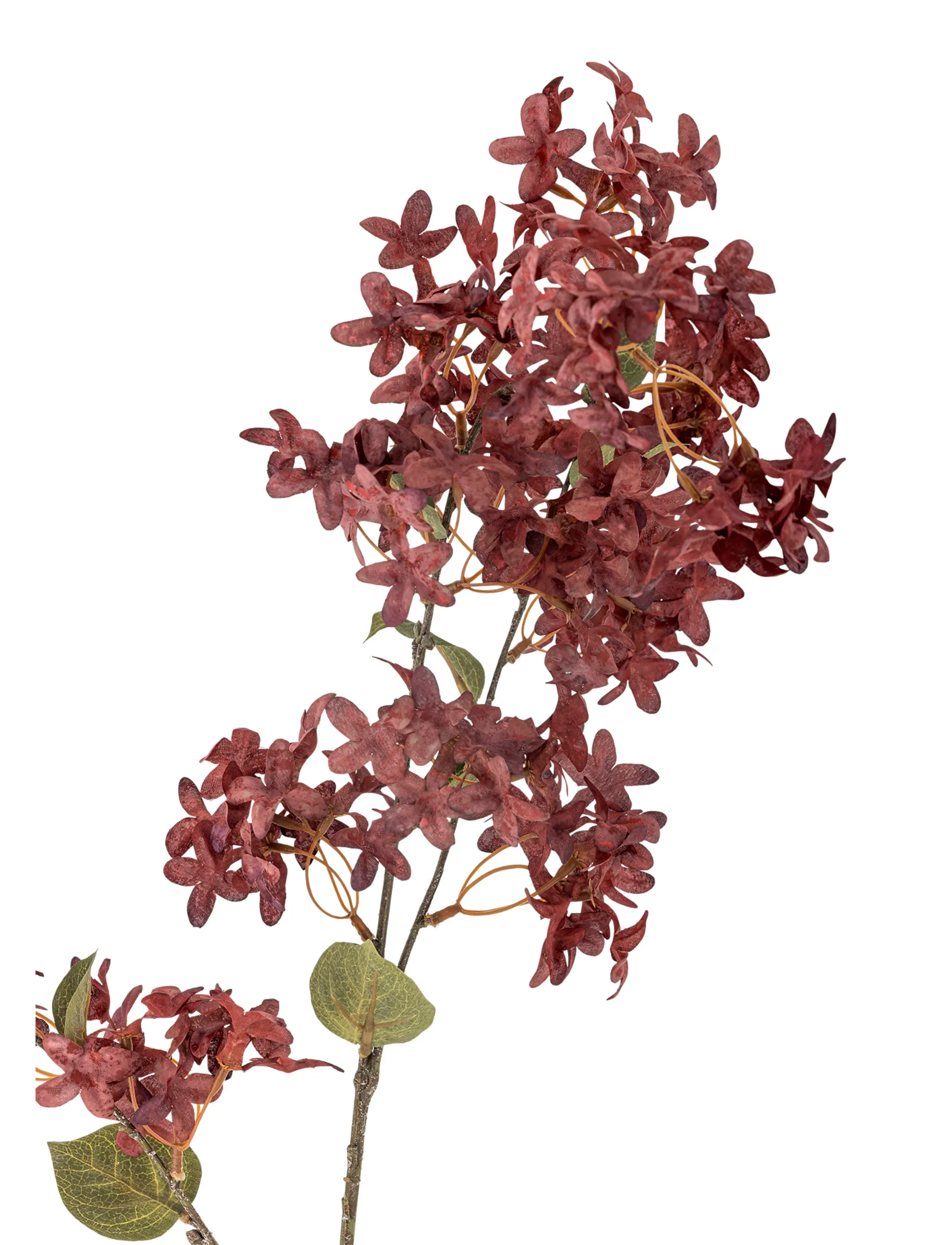 Bloomingville - Myrtle Stem - valentínusargjafir - purple - 2
