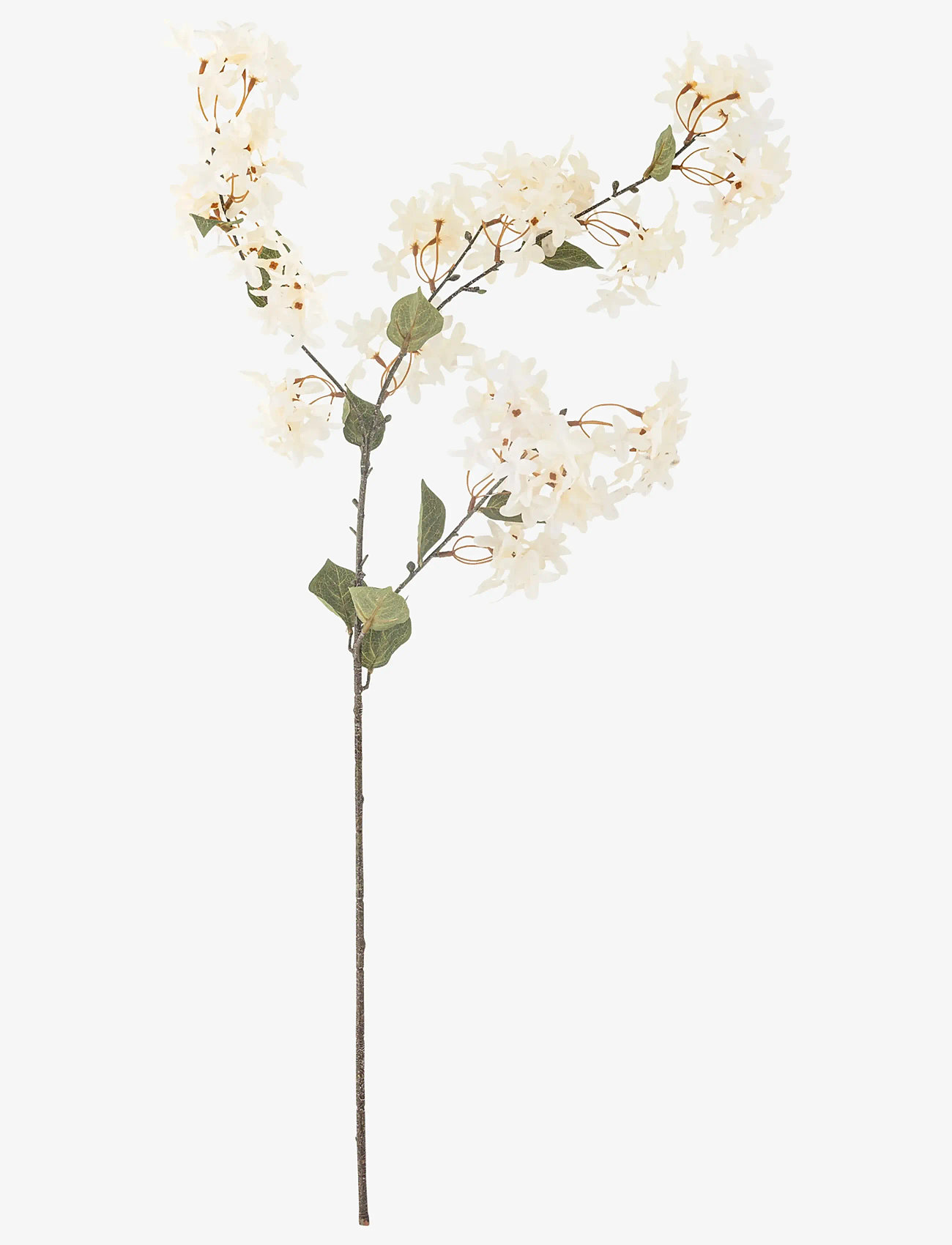Bloomingville - Myrtle Stem - valentinsgaver - white - 1