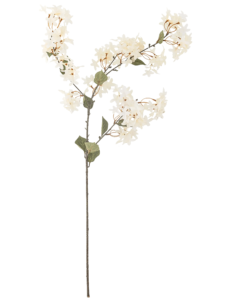 Bloomingville - Myrtle Stem - valentinstaggeschenke - white - 1