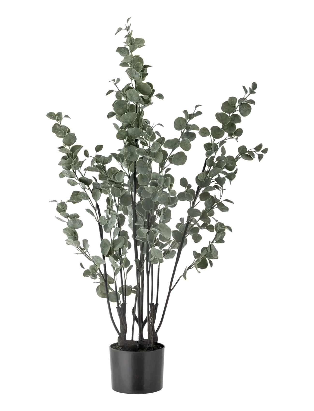 Bloomingville Eucalyptus Plant, Dried & Fake Flowers, Grøn, Str: Ø 18 cm