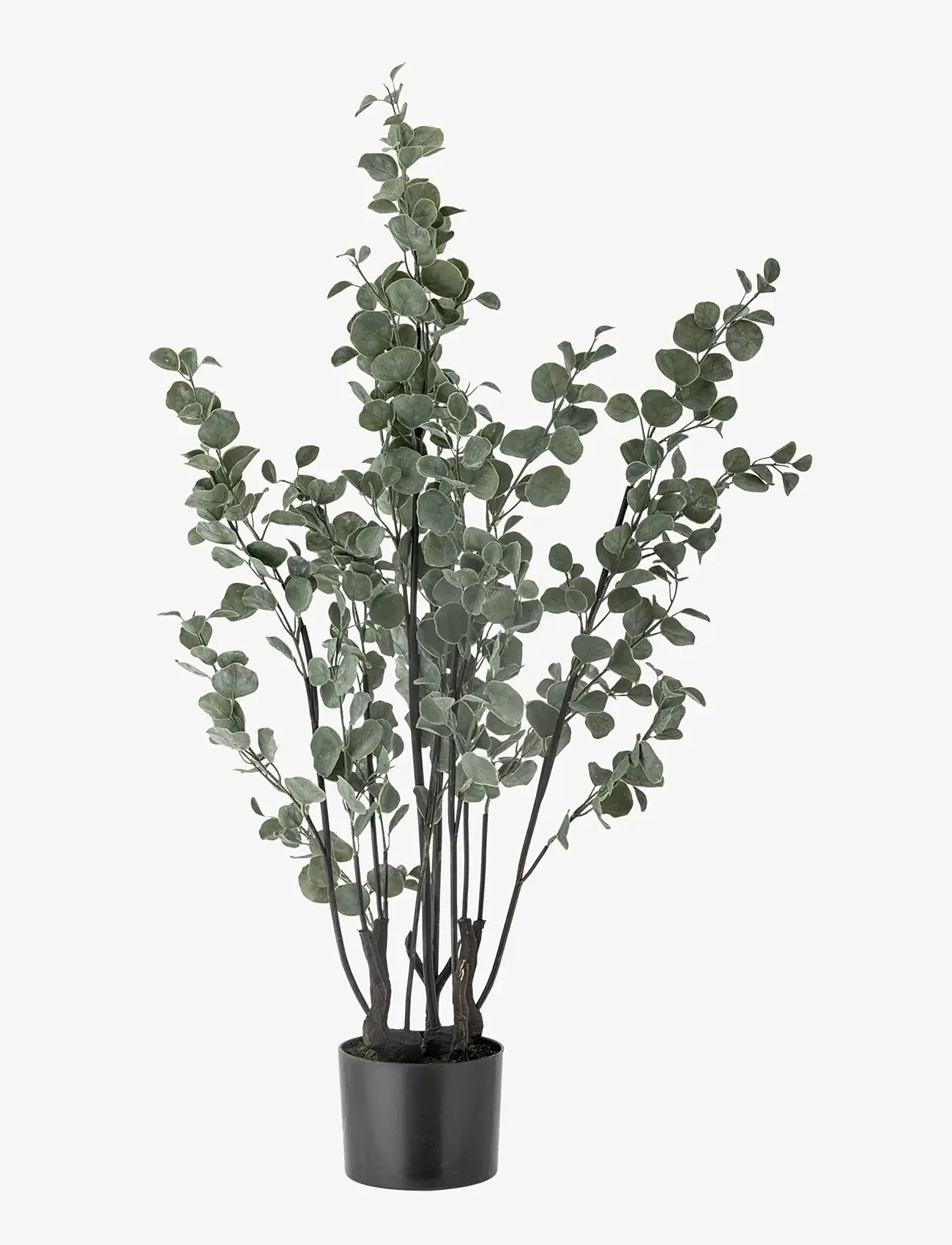 Bloomingville - Eucalyptus Plant - valentines day gifts - green - 1