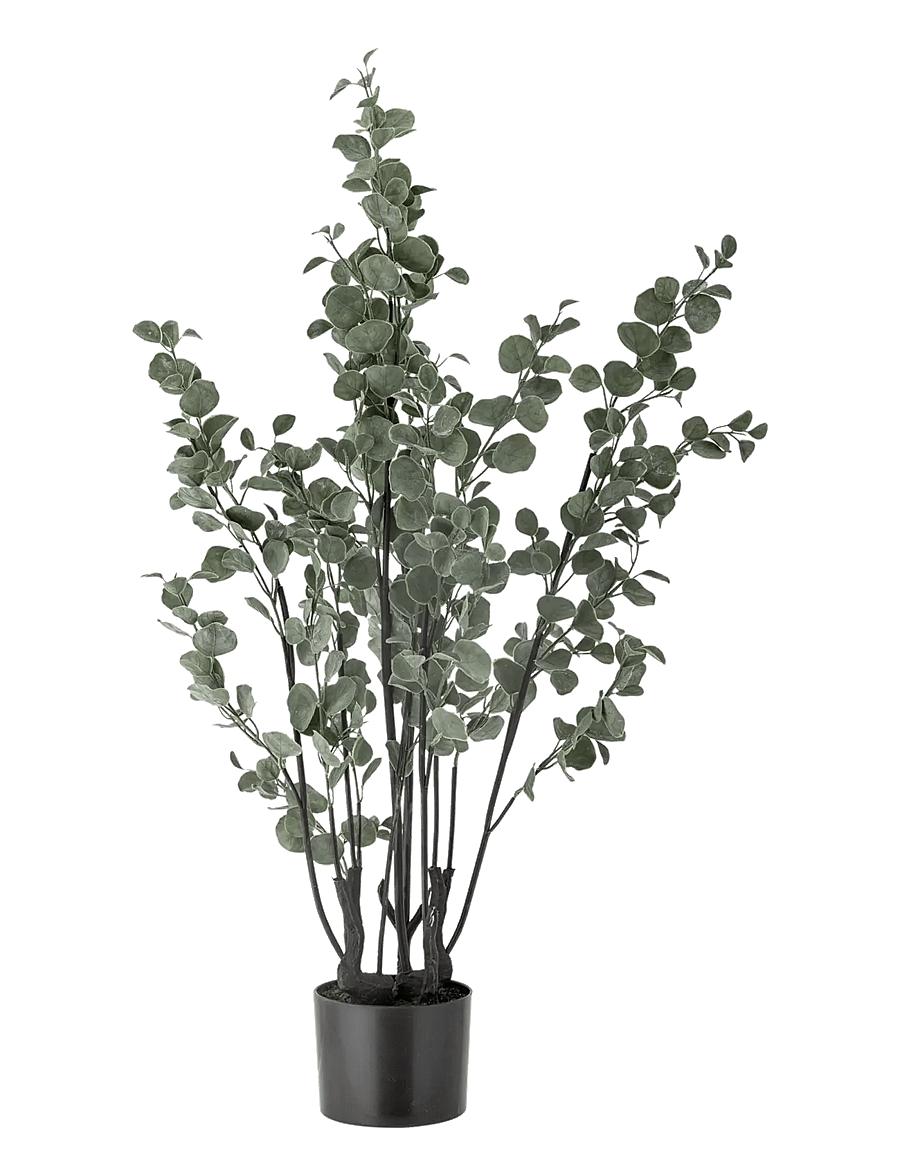 Bloomingville - Eucalyptus Plant - valentinstaggeschenke - green - 1