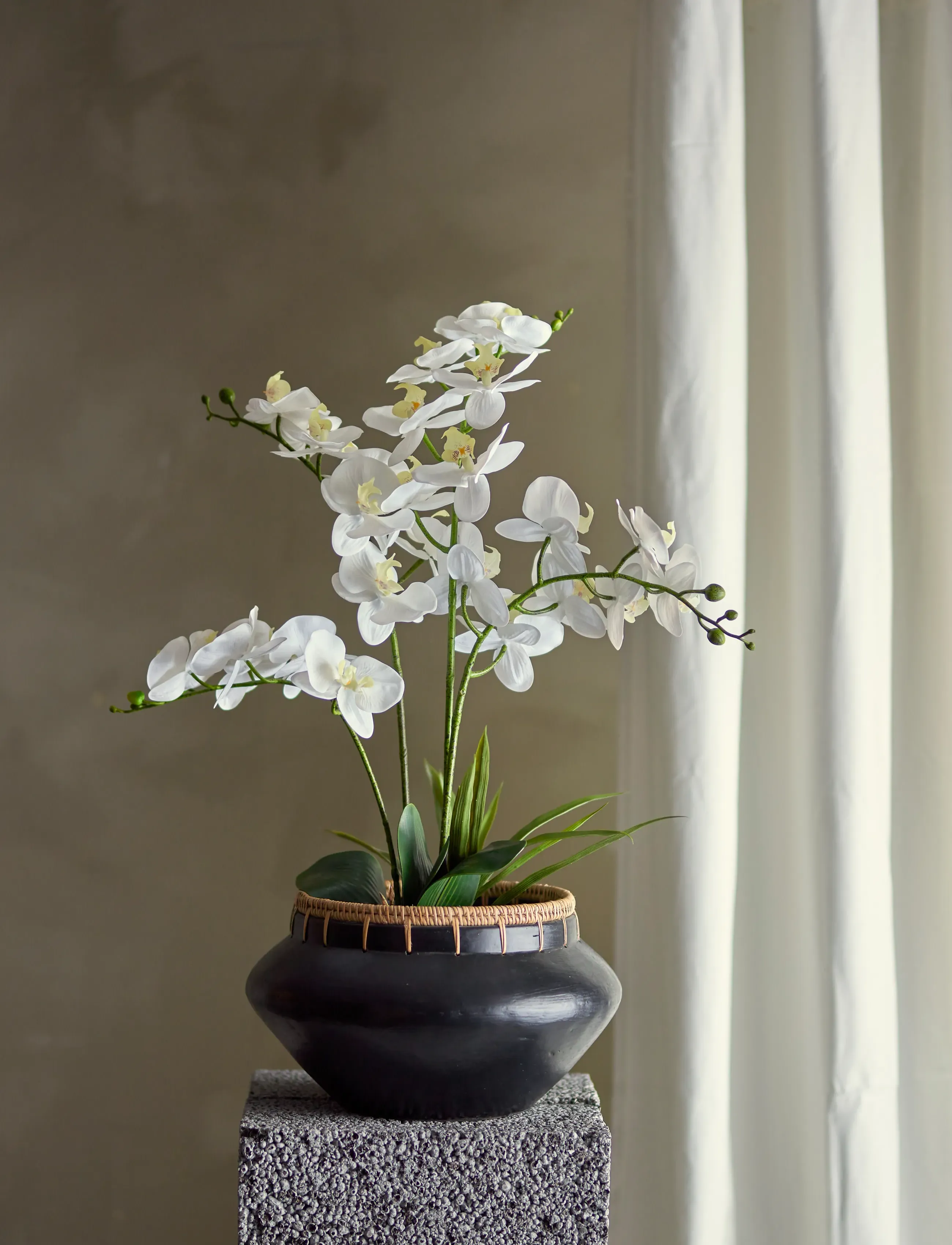 Bloomingville - Orchid Plant - valentinstaggeschenke - green - 2