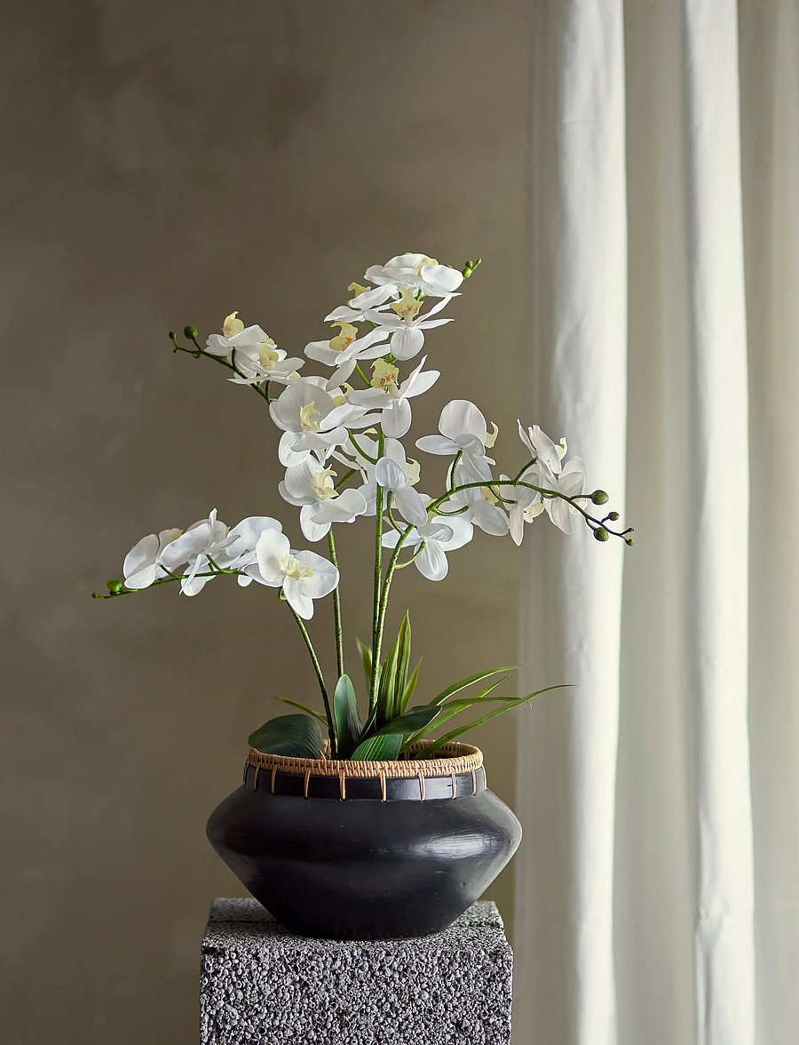 Bloomingville - Orchid Plant - valentinstaggeschenke - green - 2