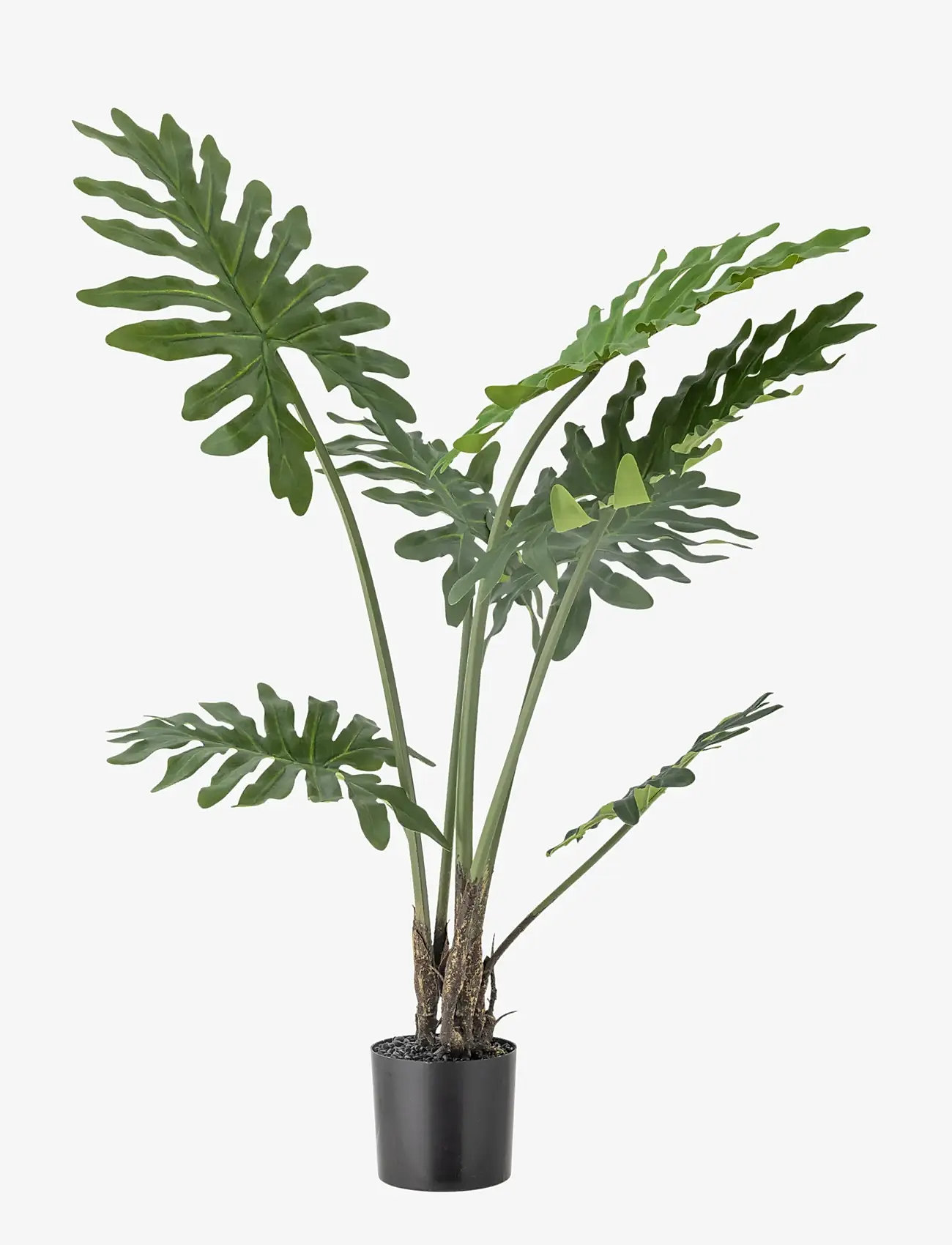 Bloomingville Philodendron Plant - Deals - GREEN / green