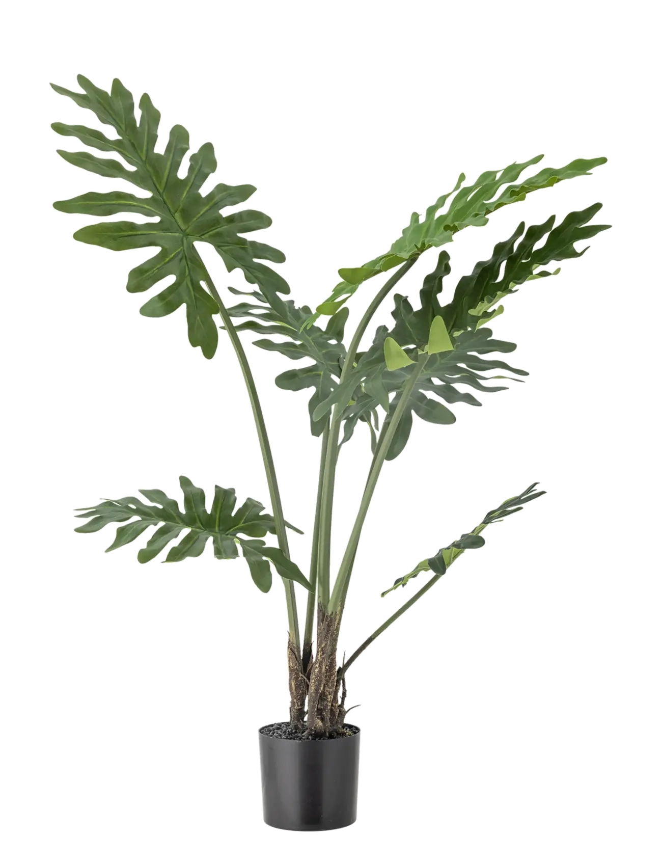 Bloomingville Philodendron Plant, Dried & Fake Flowers, Grøn, Str: Ø 13 cm