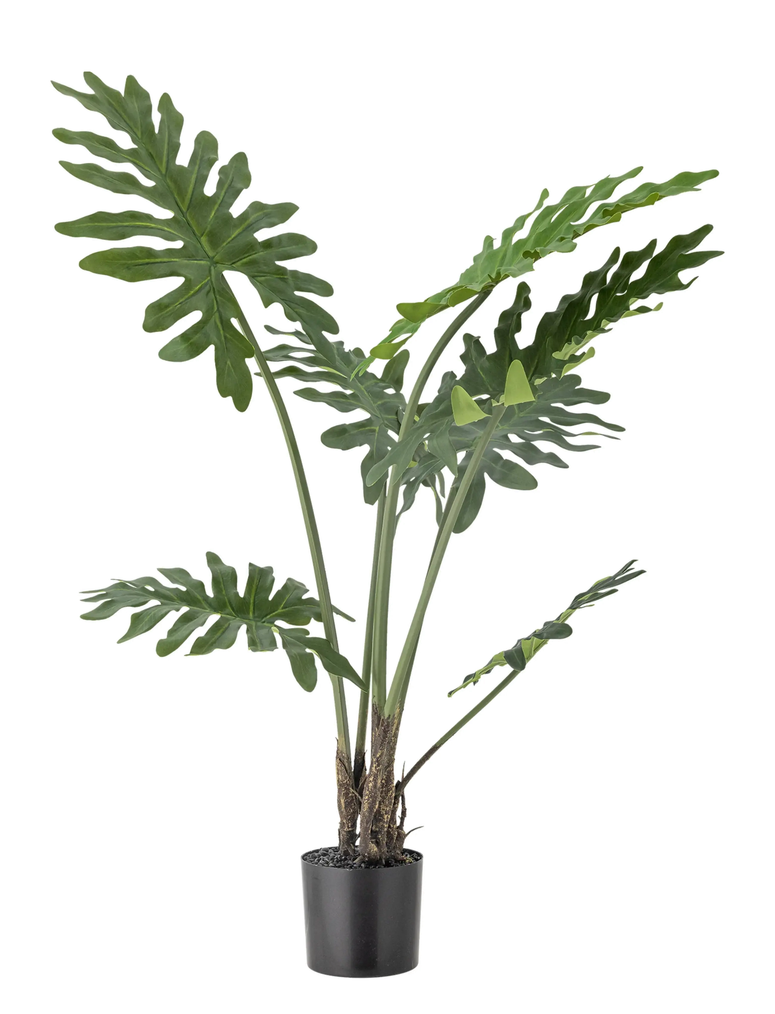 Bloomingville Philodendron Plant - E-pirmadienis - GREEN / green