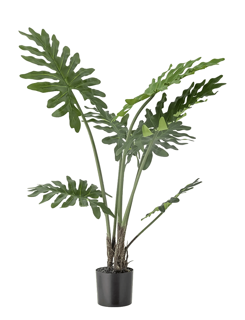 Bloomingville - Philodendron Plant - valentinstaggeschenke - green - 1