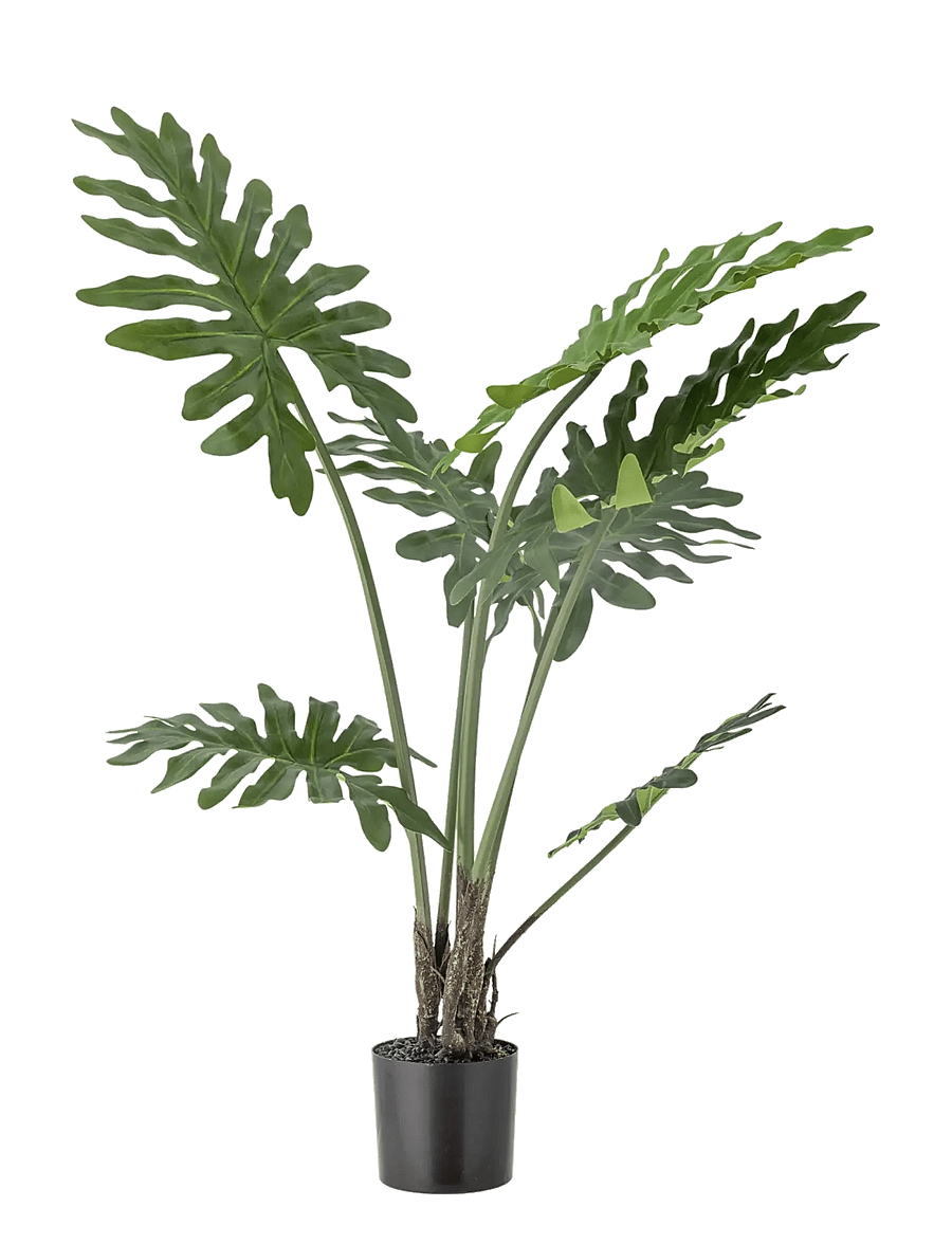 Bloomingville - Philodendron Plant - sõbrapäeva kingitused - green - 1
