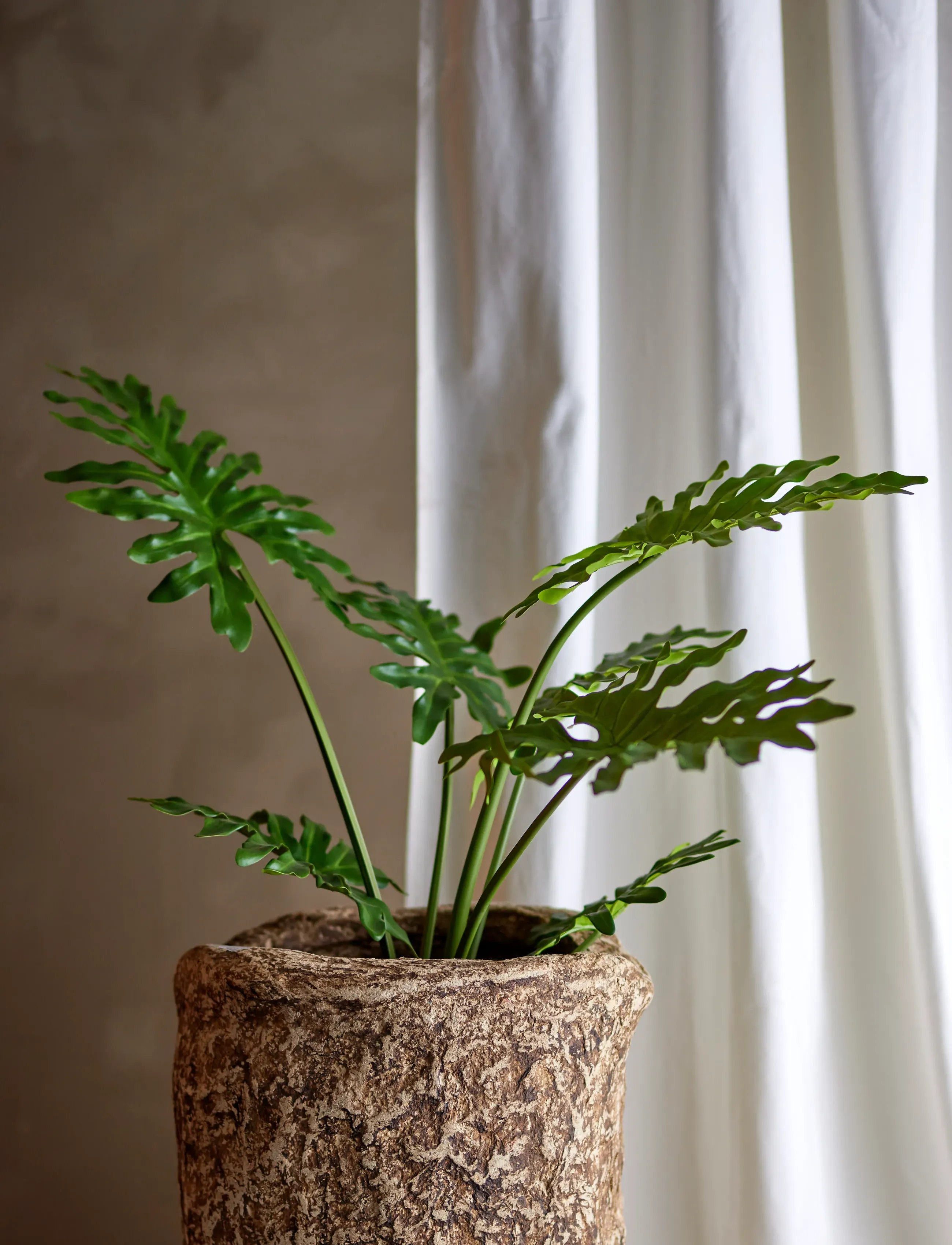 Bloomingville Philodendron Plant, Ø 13 cm, Decoration, Grün - Dried & Fake Flowers, Homeware