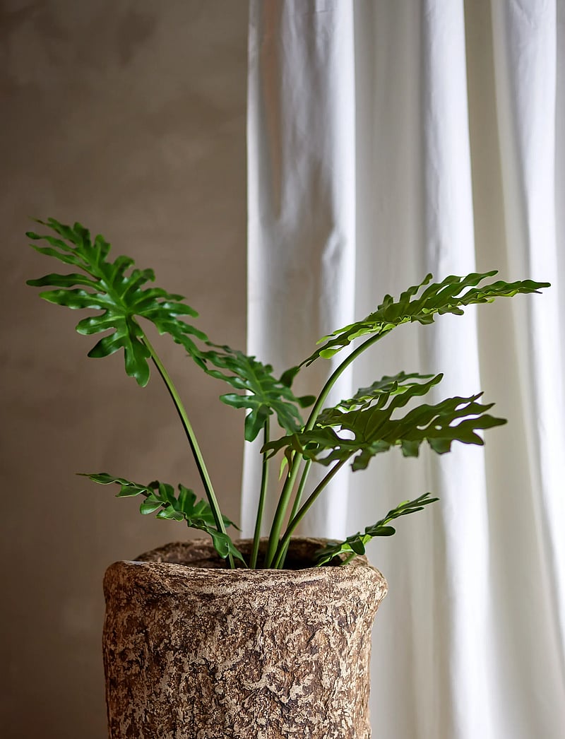 Bloomingville - Philodendron Plant - valentinstaggeschenke - green - 0
