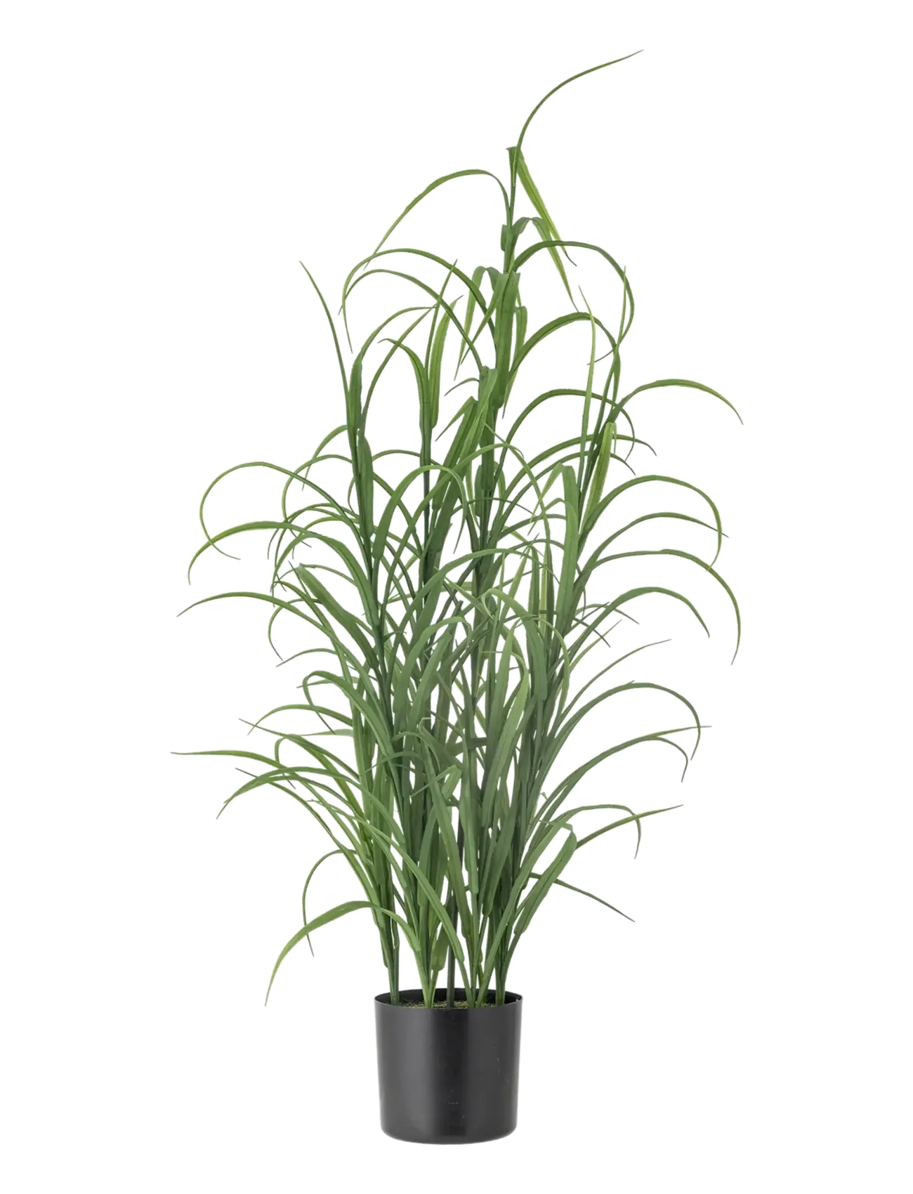Bloomingville Grass Plant - Fake flowers - GREEN / green