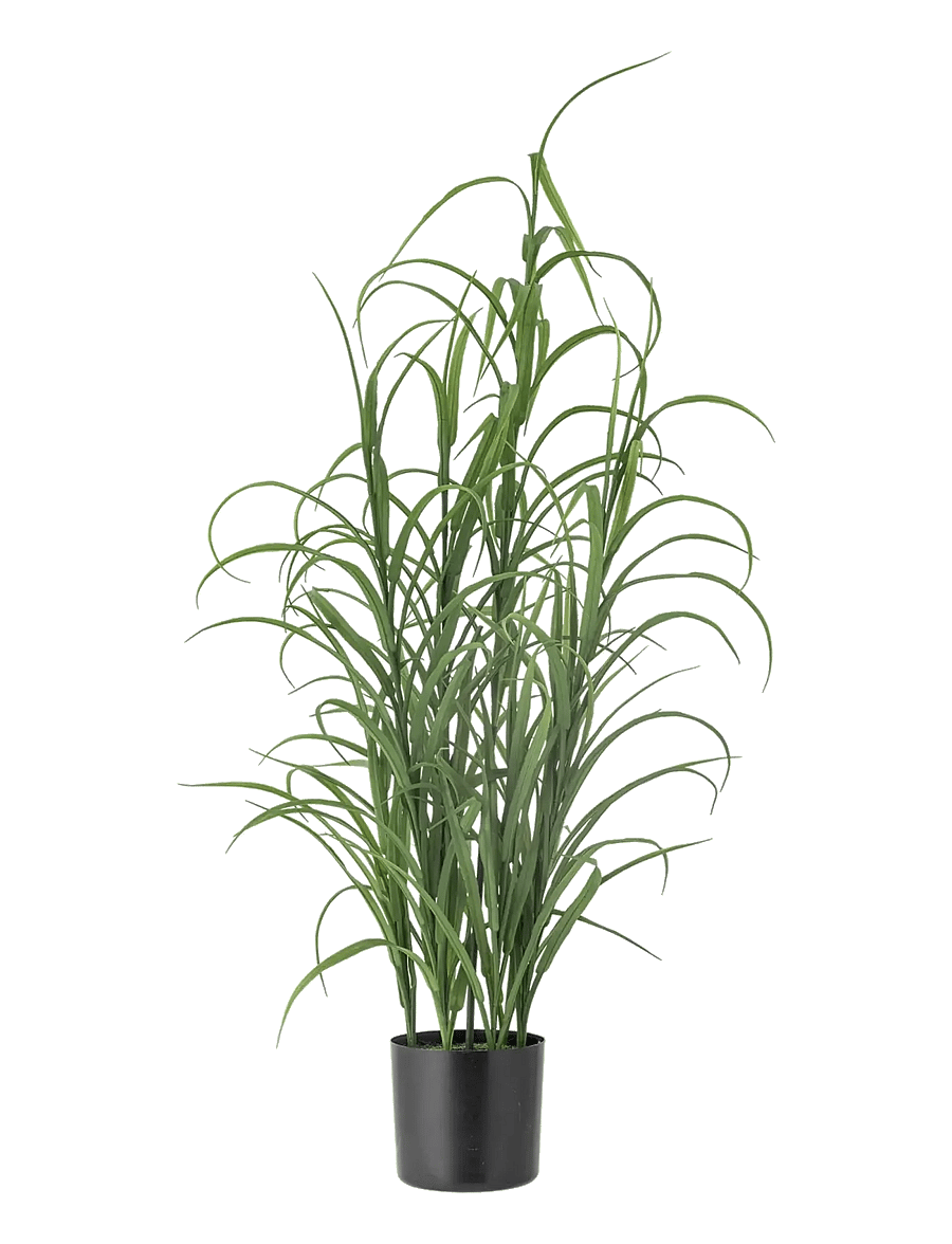 Bloomingville - Grass Plant - green - 0