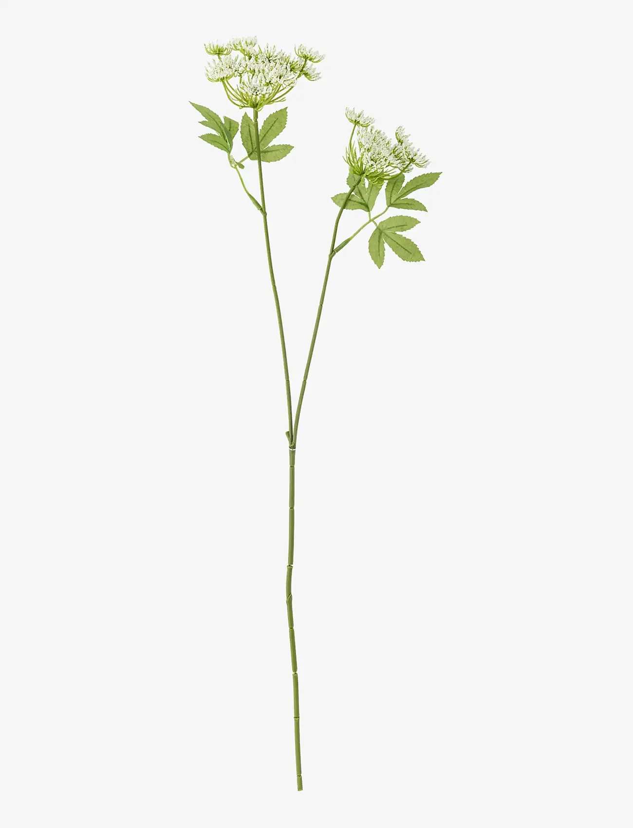 Bloomingville - Fennel Stem - valentinstaggeschenke - white - 1